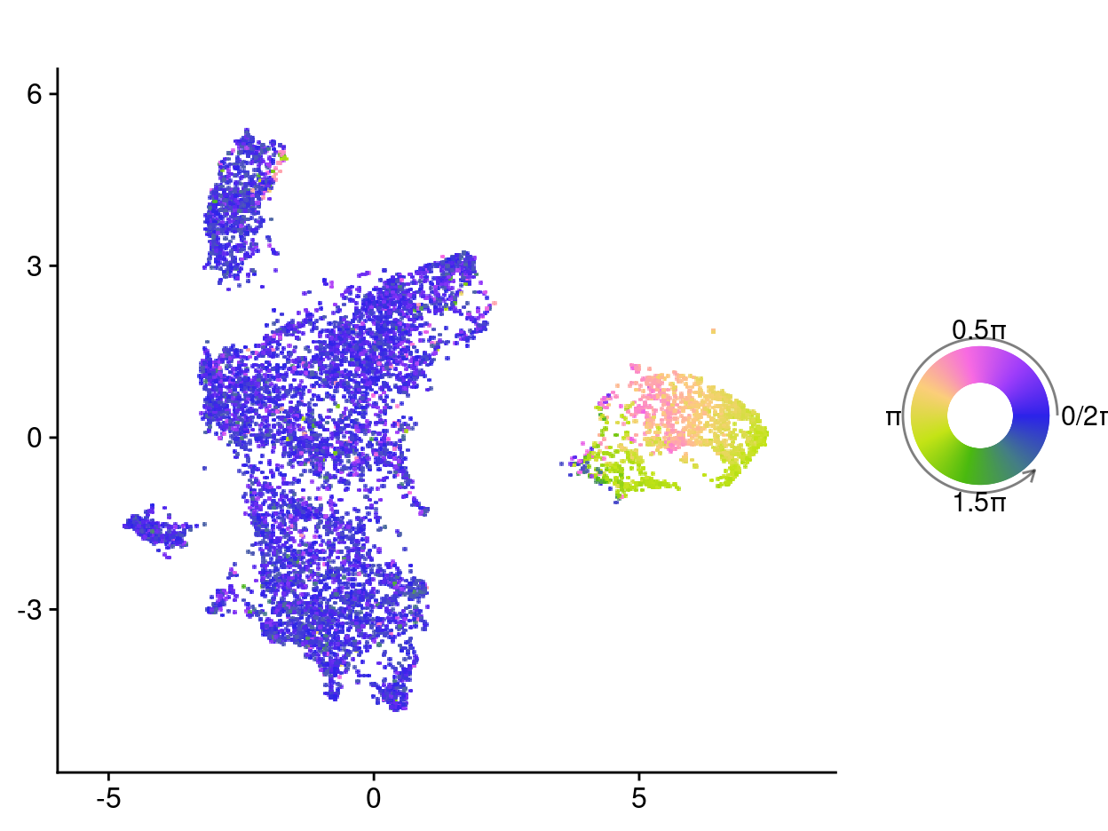 UMAP plot where each celll is coloured by its estimated cell cycle position. These values can be approximately related as follows: pi/2 to be the start of S stage; pi to be the start of G2M stage; 3pi/2 to be the middle of M stage; and 7pi/4 - pi/4 to be G1/G0 stage