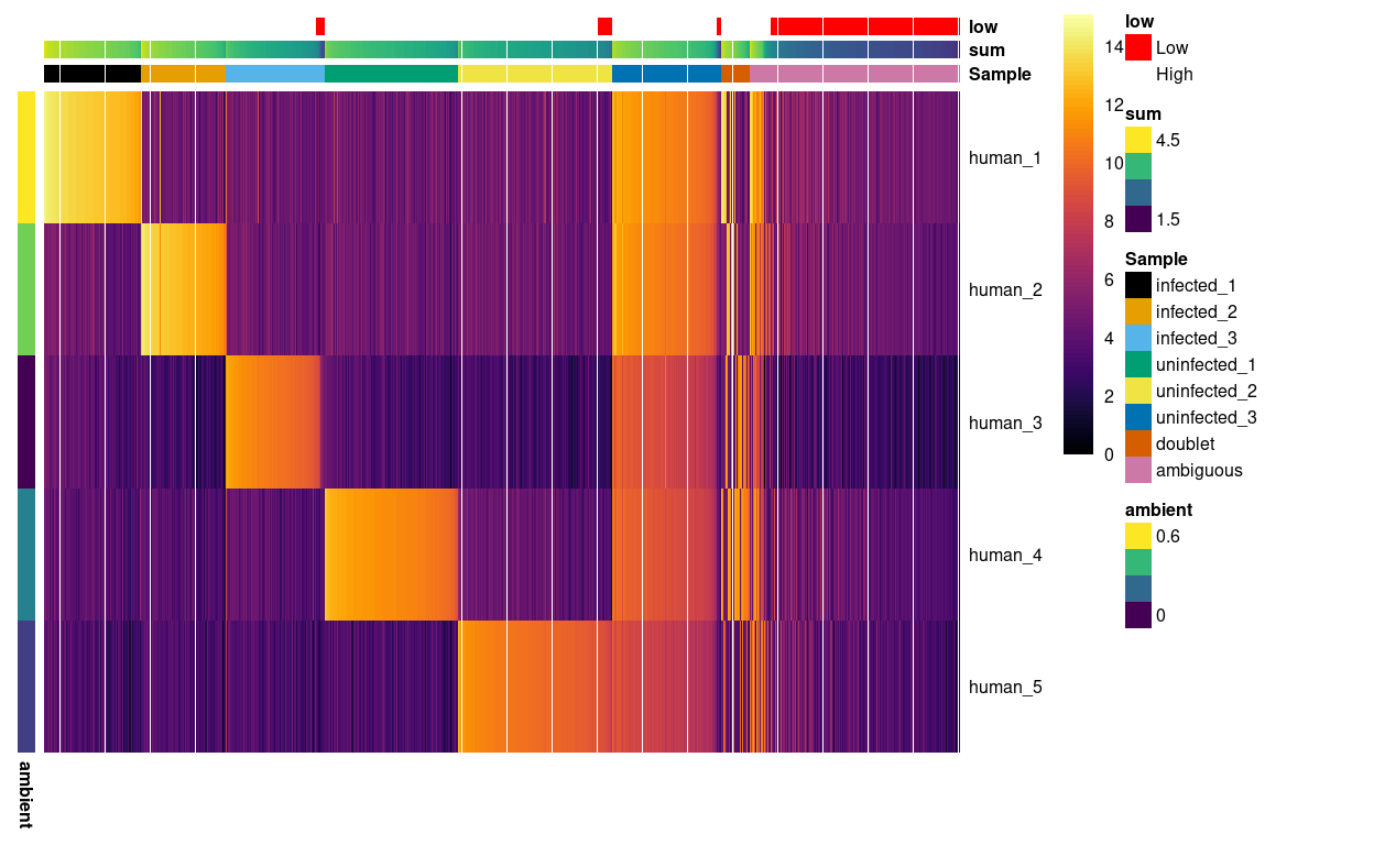 Heatmap of HTO log2(counts + 1) for the droplets. Columns are ordered by sample and then HTO library size. Each droplet (column) is annotated by assigned sample of origin (`Sample`), the (log10) HTO library size (`sum`), and whether that is smaller than the a cutoff estimated from the empty droplets. Each HTO (row) is annotated by the (log10) average count of the HTO in the empty droplets (`ambient`).