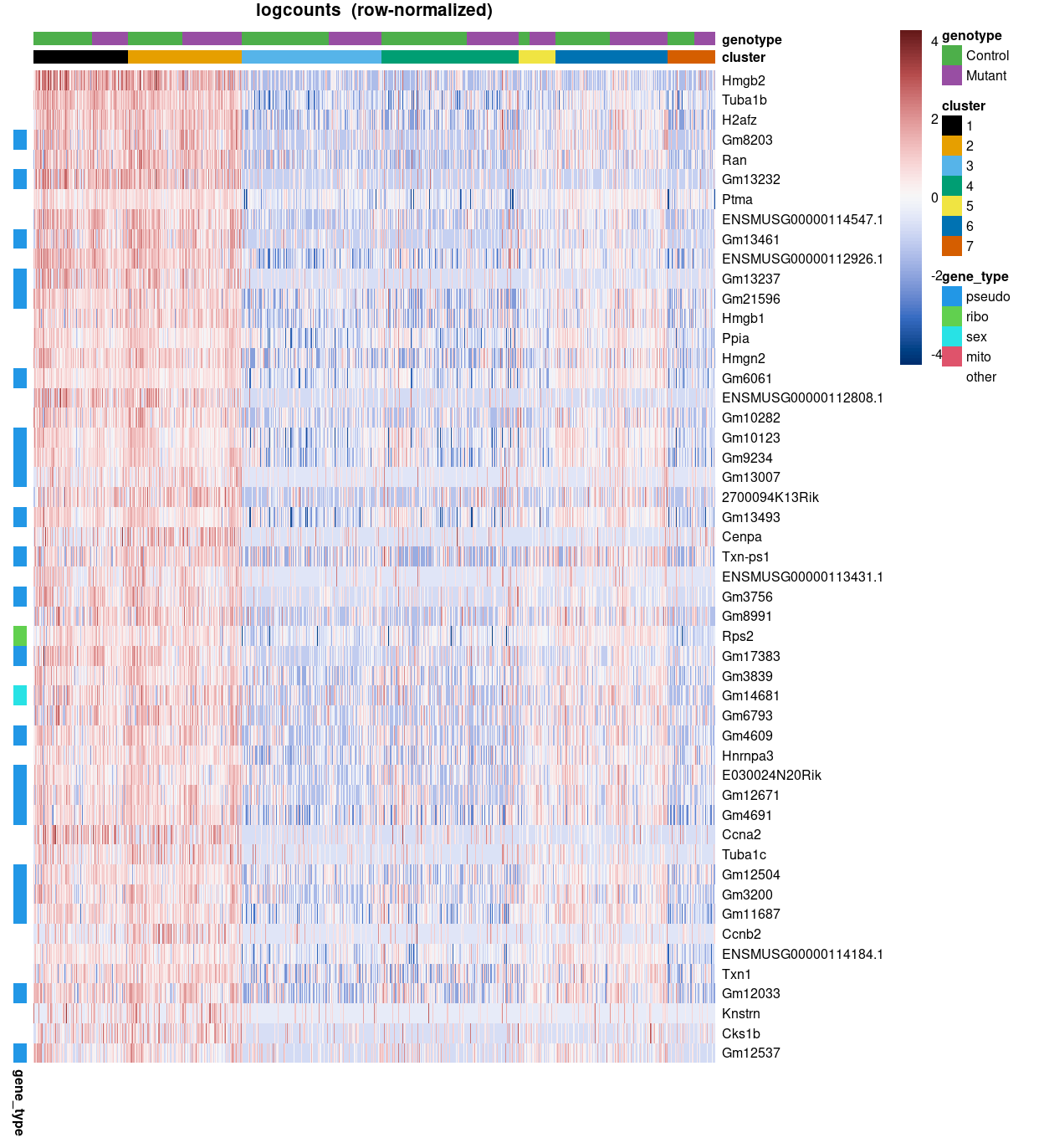 Heatmap of top-50 `t_up_all` marker genes for cluster 2 using the row-normalized `logcounts` for cells in each cluster. Each column is a sample, each row a gene. Genes are annotated according to `gene_type`.