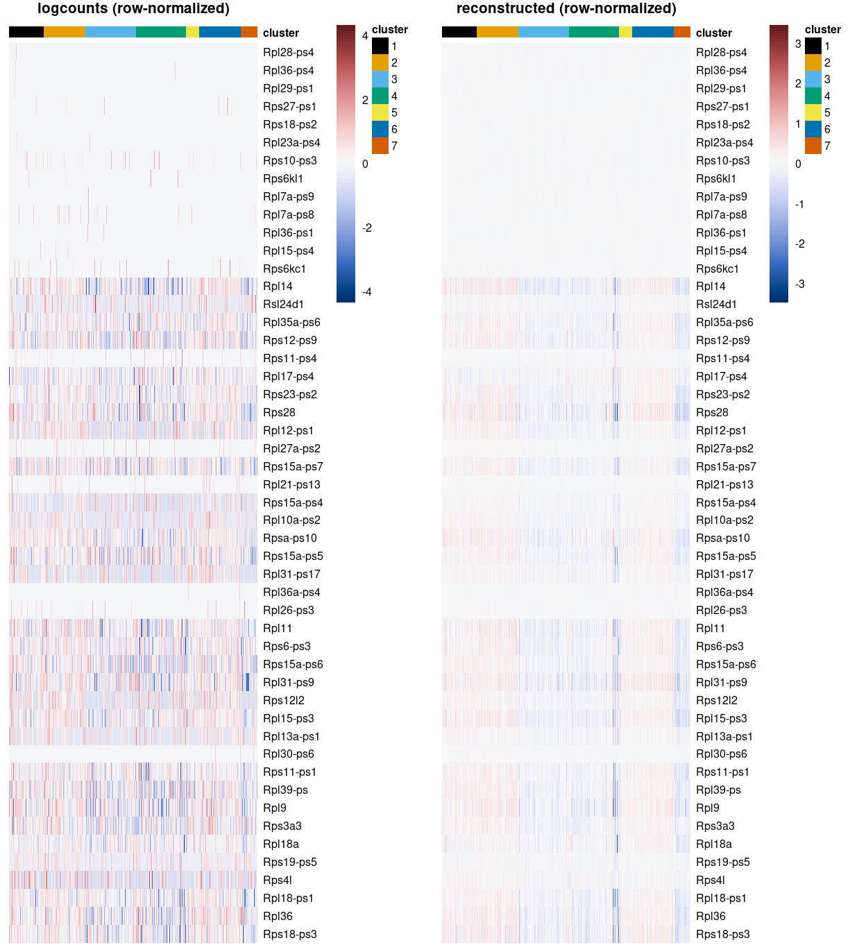 Heatmap of some ribosomoal protein gene expression using the `logcounts` (left) and the `reconstructed` values (right) for cells in each cluster. Row (gene) and column (cell) order are preserved across the two heatmaps.