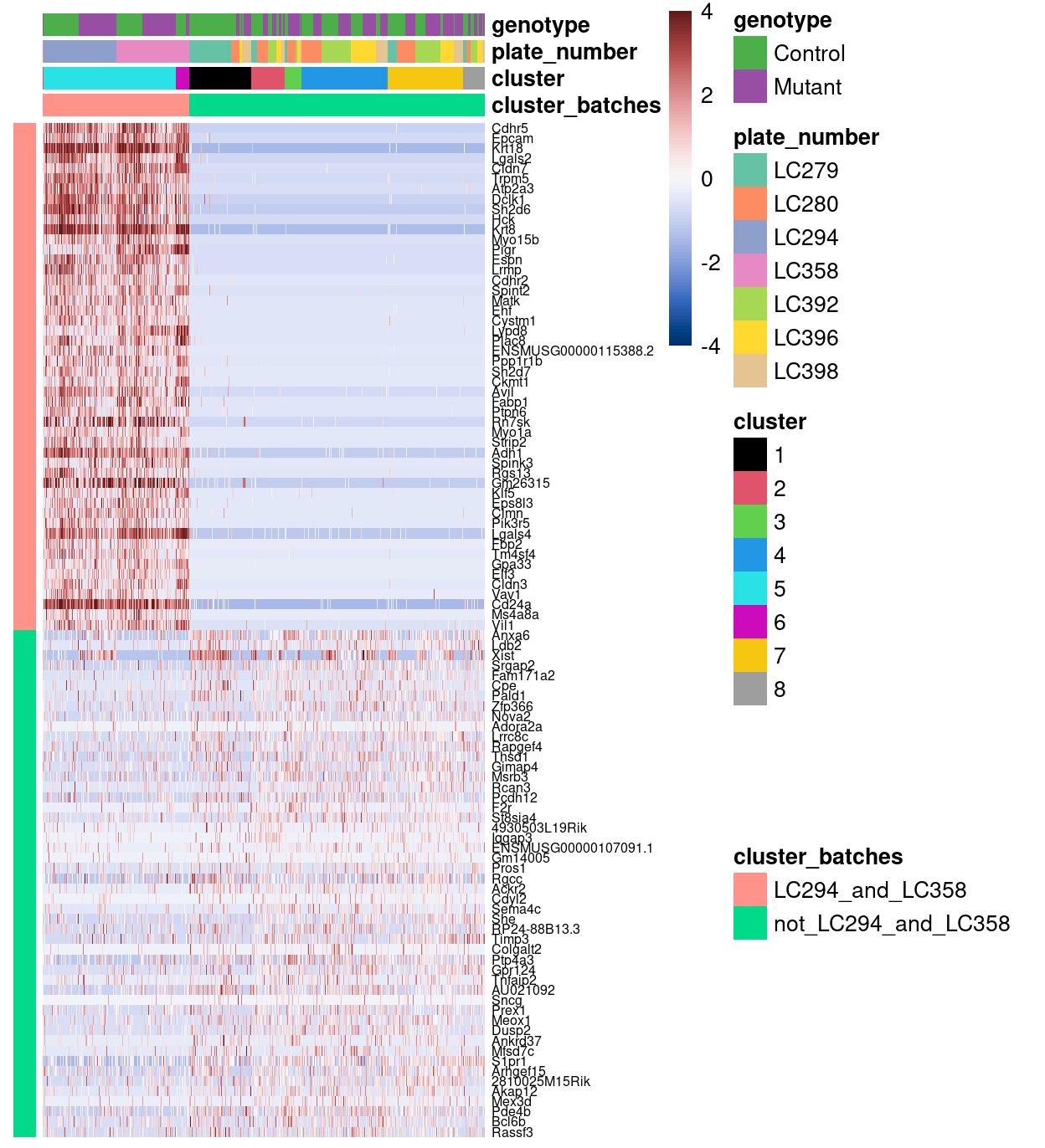 Heatmap of row-normalized log-expression values for selected marker genes between plates `LC294` and `LC358` and the rest of the plates. Each column is a sample, each row a gene.