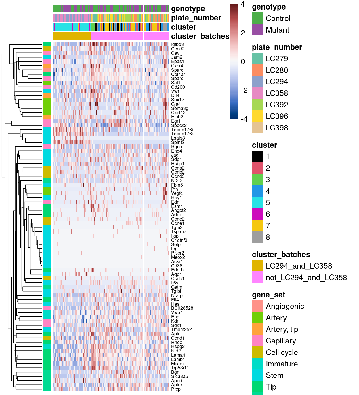 Heatmap of row-normalized log-expression values for Zoe's marker genes. Each column is a sample, each row a gene. Samples have been separetely clustered within each `cluster_batches`.