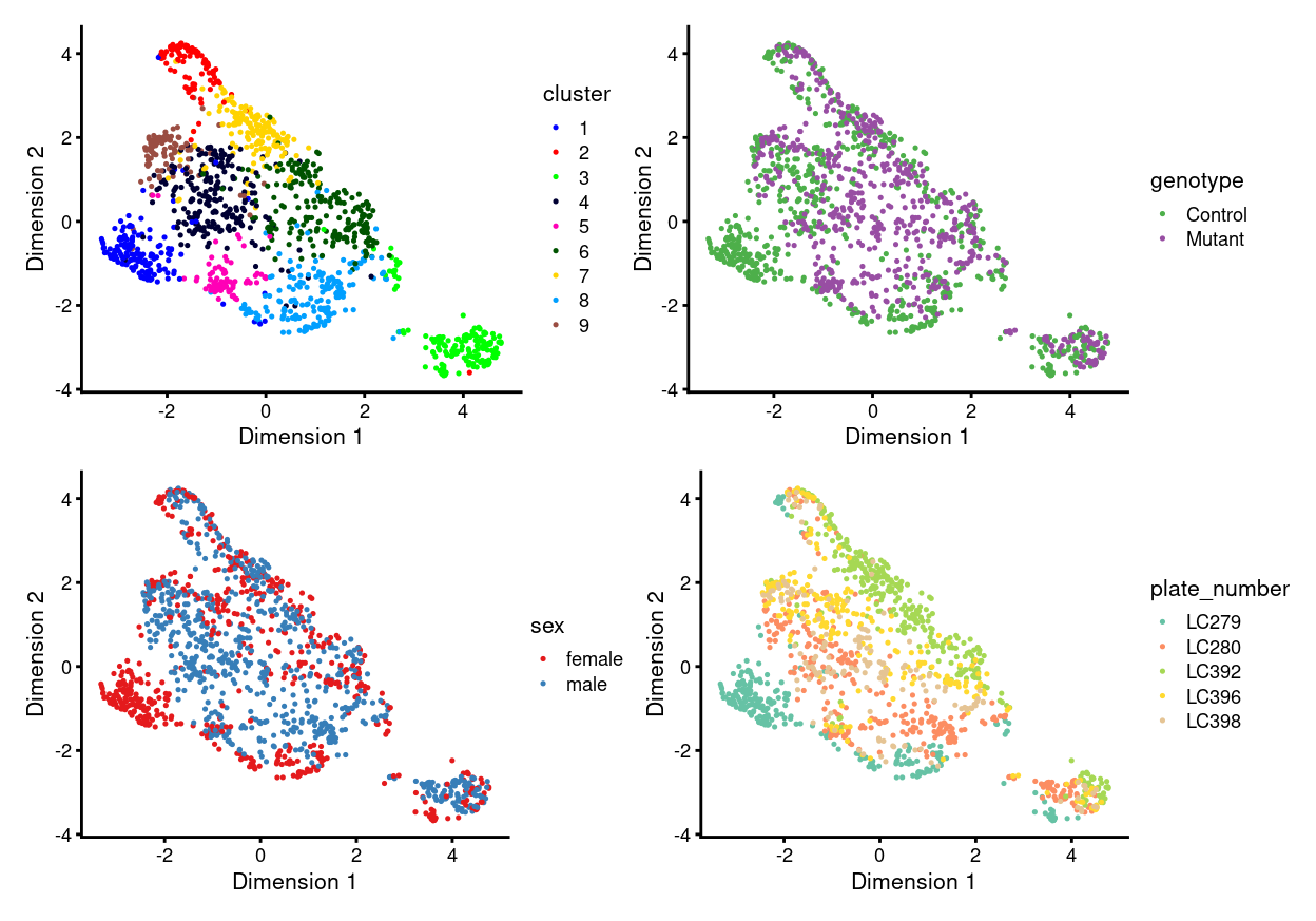 UMAP plot, where each point represents a cell and is coloured according to the legend.