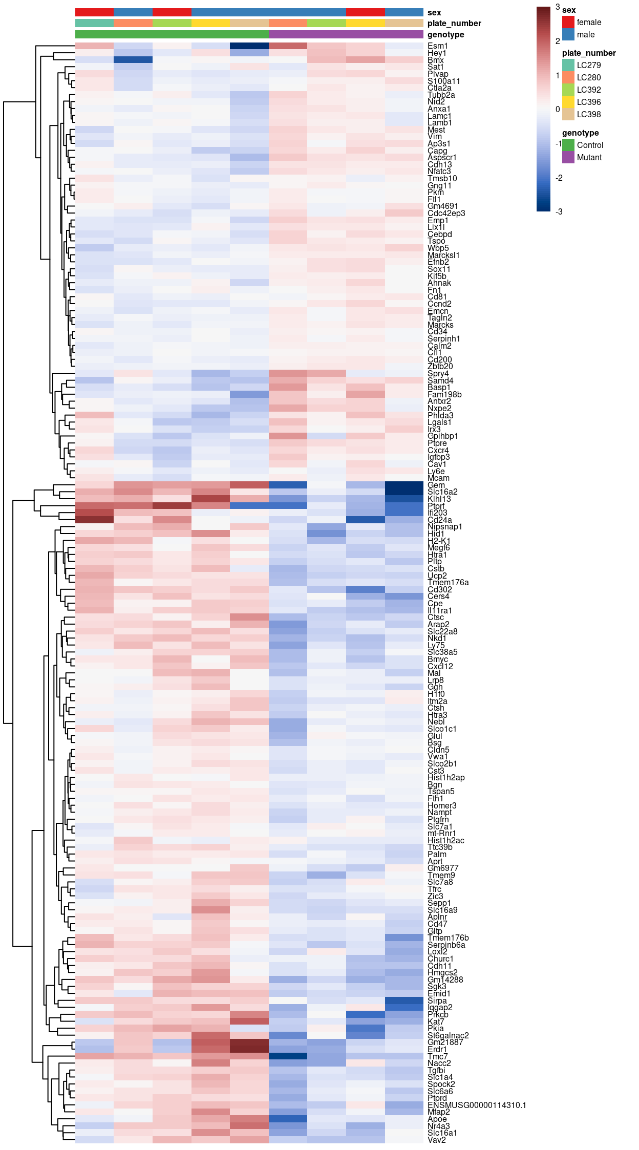 Heatmap of pseudobulk-level log-expression values normalized to the mean of all samples in the filtered data; rows correspond to genes, columns to label-sample combinations. Included is the union of DEGs detected (FDR < `r fdr`).