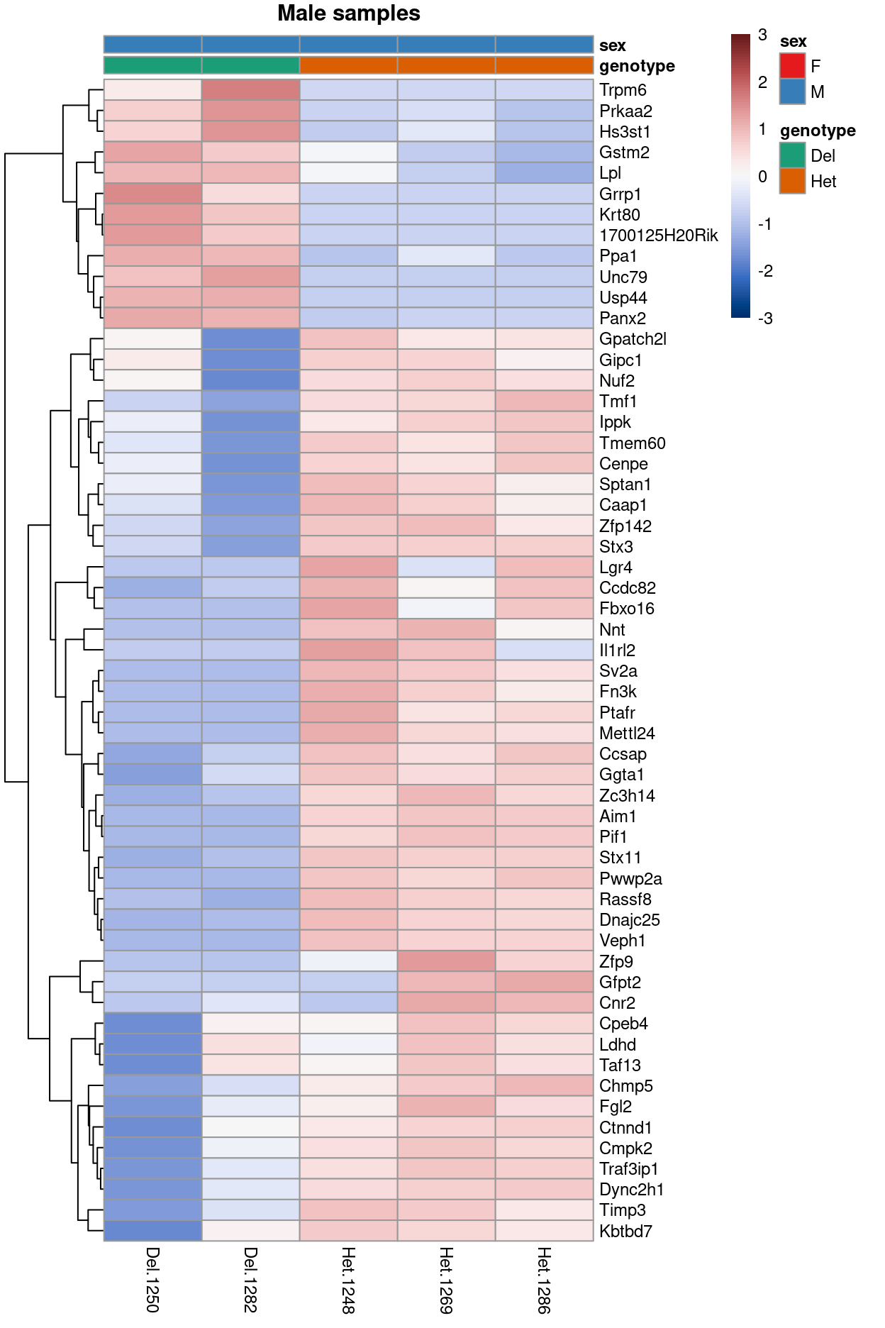 Heatmap of upper-quartile-normalzied logCPM values for the DEGs.