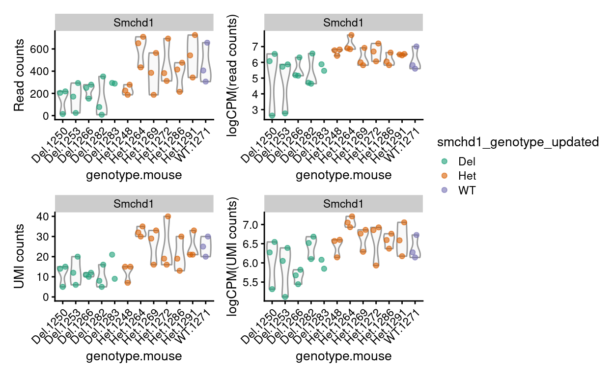 Expression of *Smchd1* by mouse on a 'raw counts' and 'logCPM' scale using the read or UMI counts.