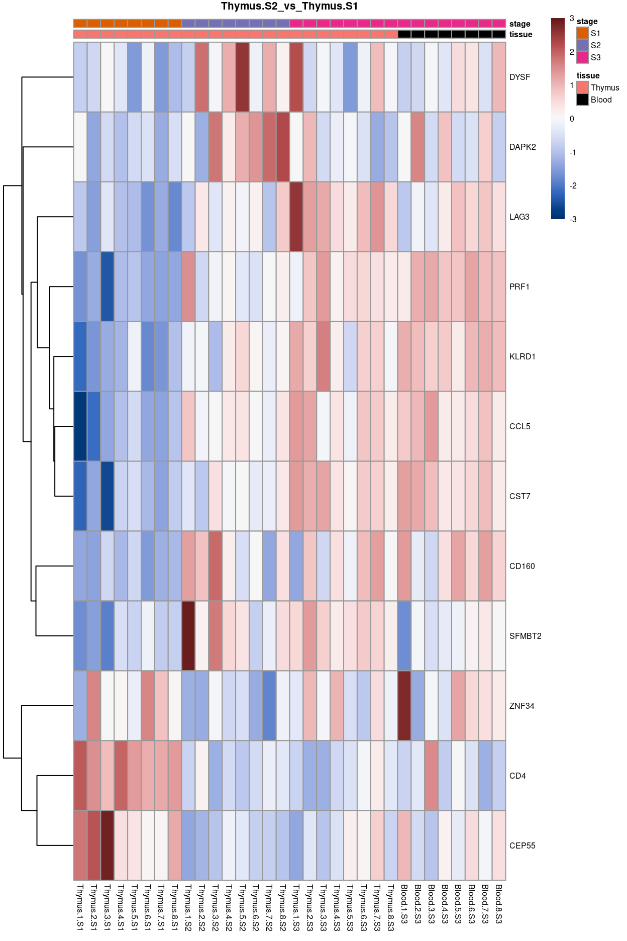 Heatmap of batch-corrected logCPM values for the top-50 DEGs.