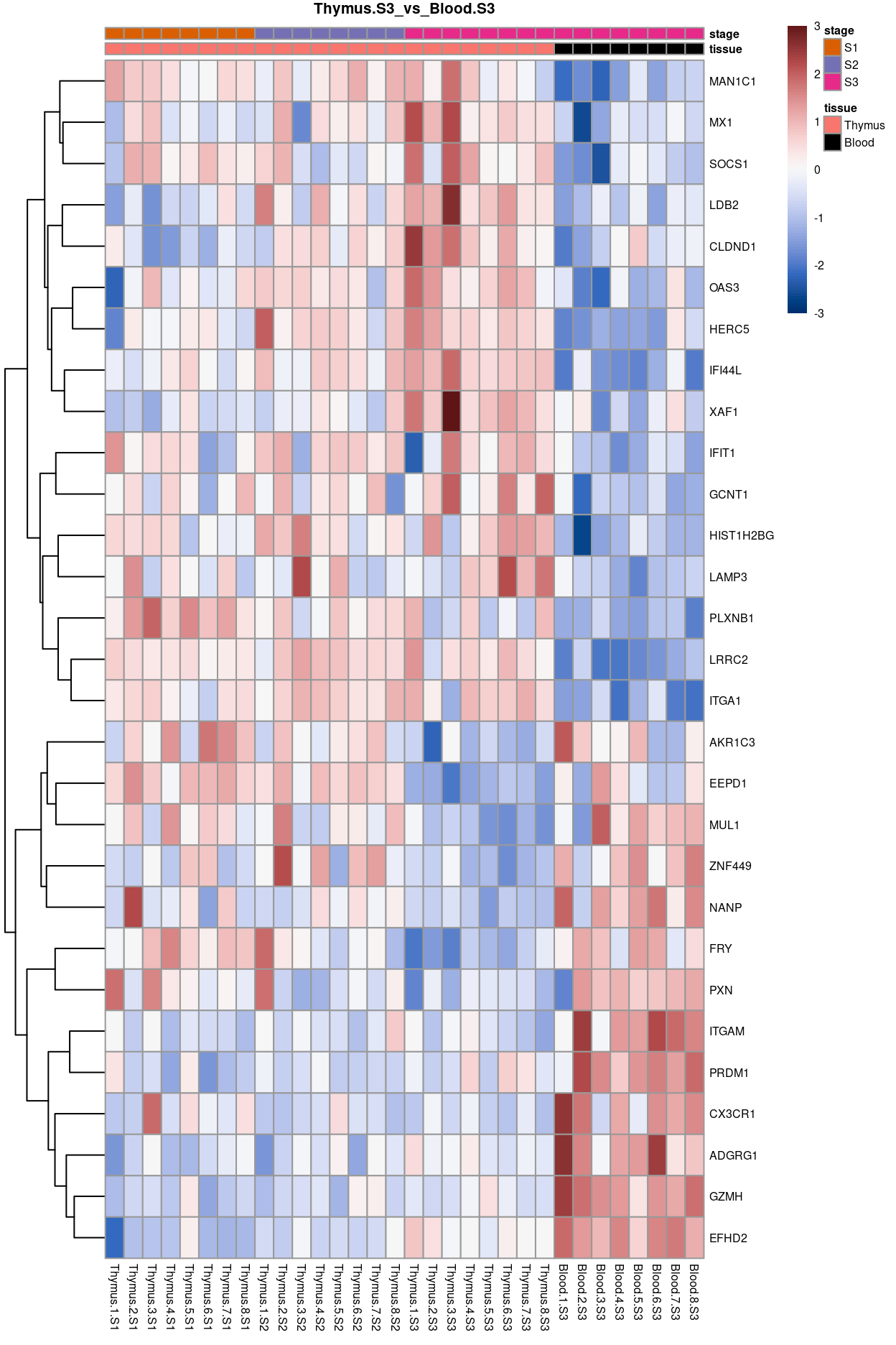 Heatmap of batch-corrected logCPM values for the top-50 DEGs.