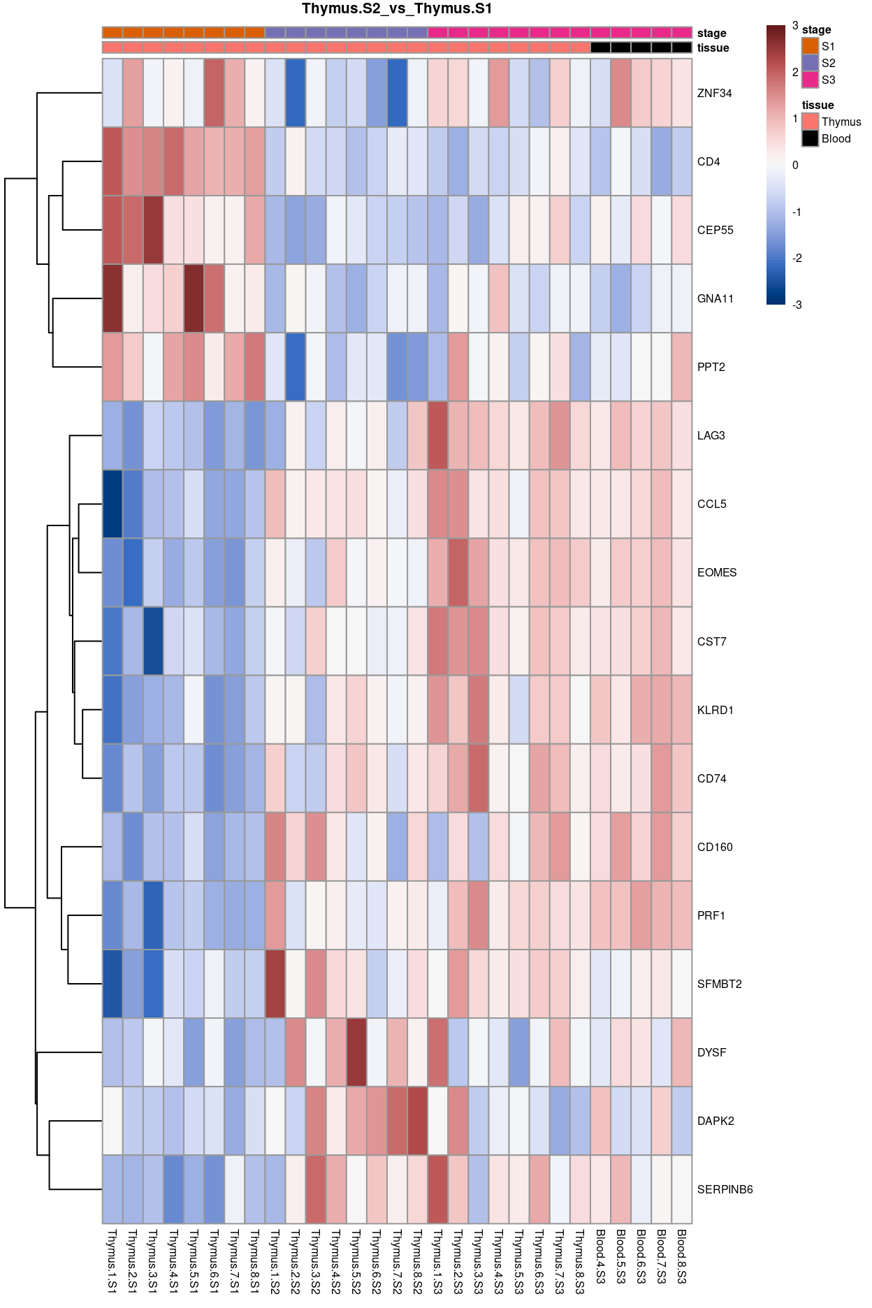 Heatmap of batch-corrected logCPM values for the top-50 DEGs.