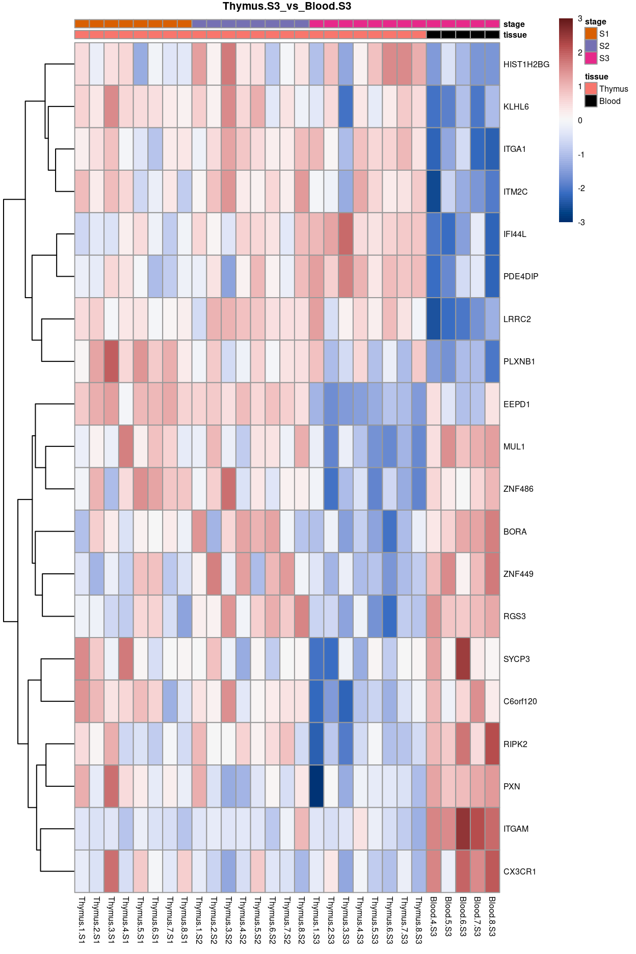 Heatmap of batch-corrected logCPM values for the top-50 DEGs.