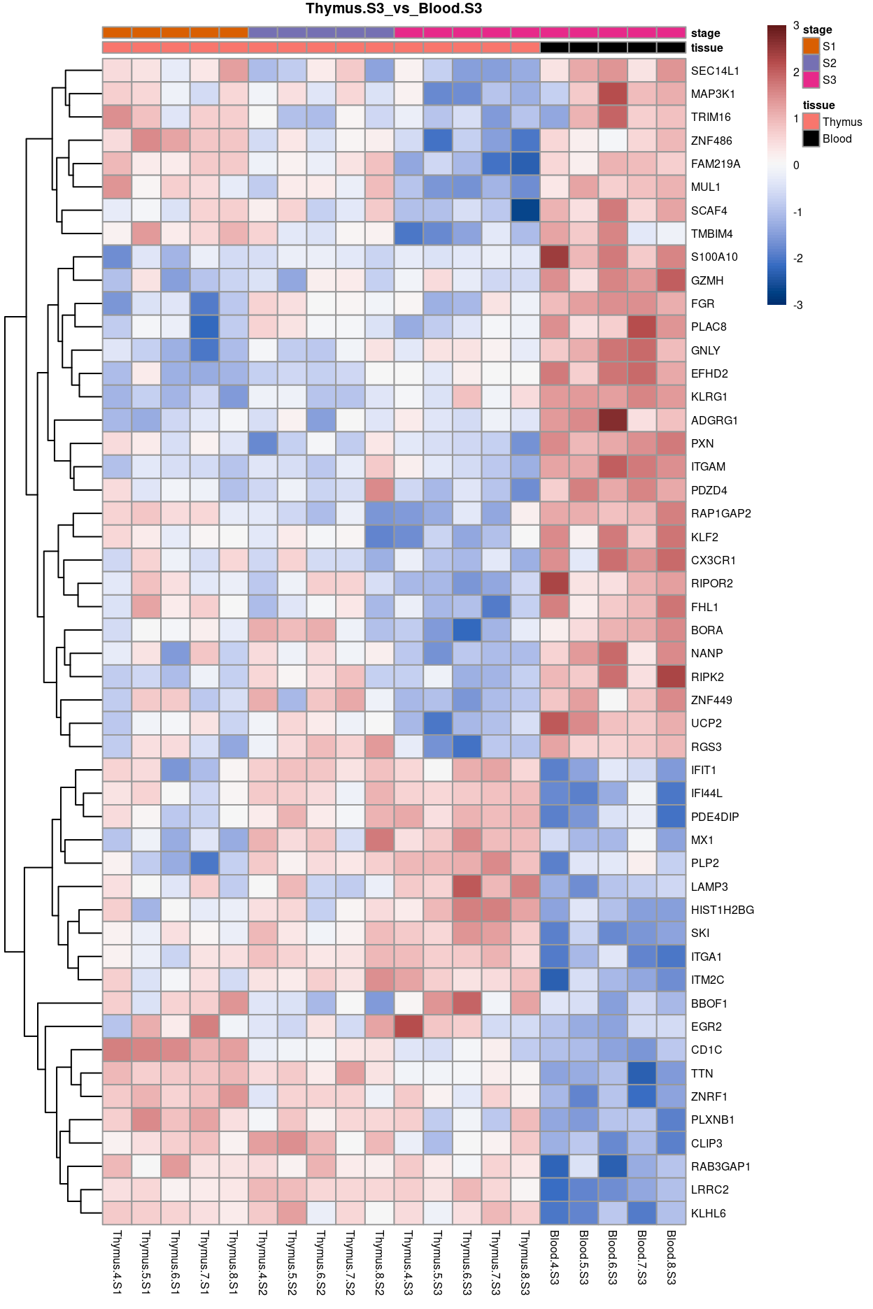 Heatmap of batch-corrected logCPM values for the top-50 DEGs.