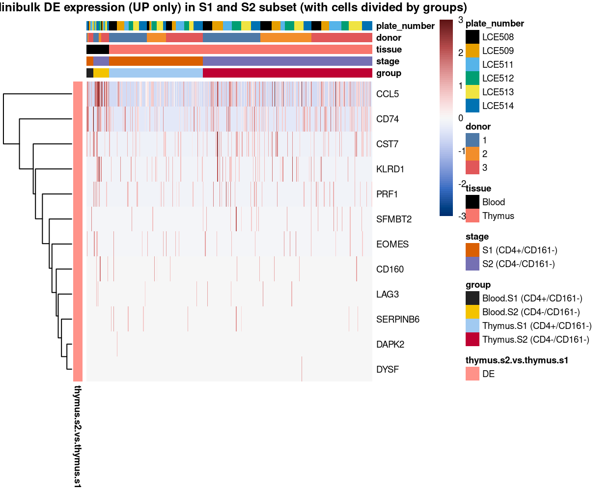 Heatmap of log-expression values in each sample for the marker genes (up-regulated) identified from the mini-bulk analysis. Cells are ordered by `group`. Each column is a sample, each row a gene. Colours are capped at -3 and 3 to preserve dynamic range.