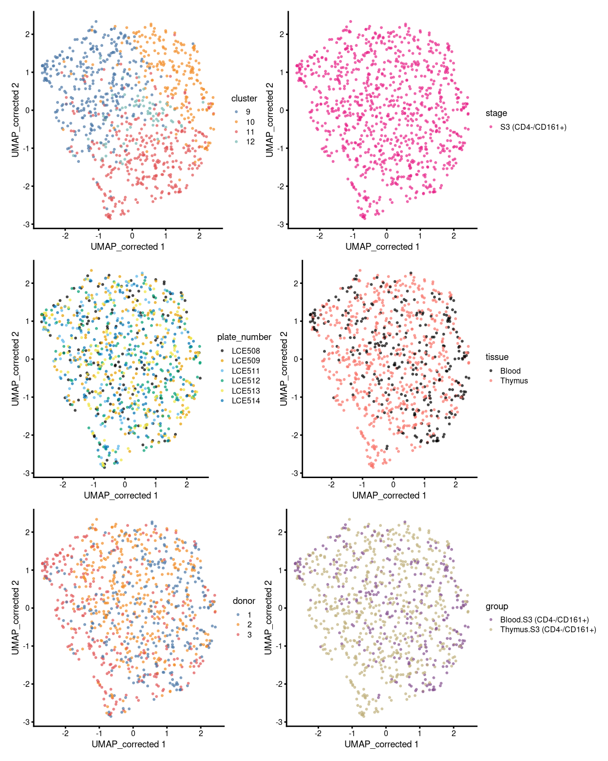 UMAP plot, where each point represents a cell and is coloured according to the legend.