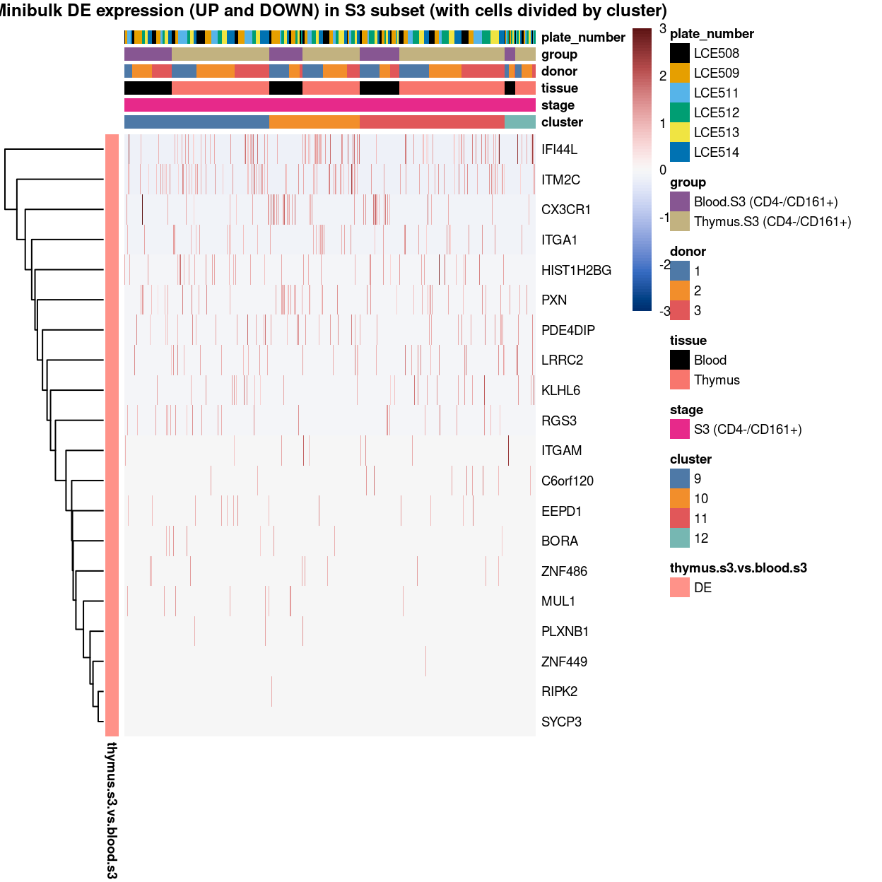 Heatmap of log-expression values in each sample for the marker genes identified from the mini-bulk analysis. Cells are ordered by `cluster`. Each column is a sample, each row a gene. Colours are capped at -3 and 3 to preserve dynamic range.