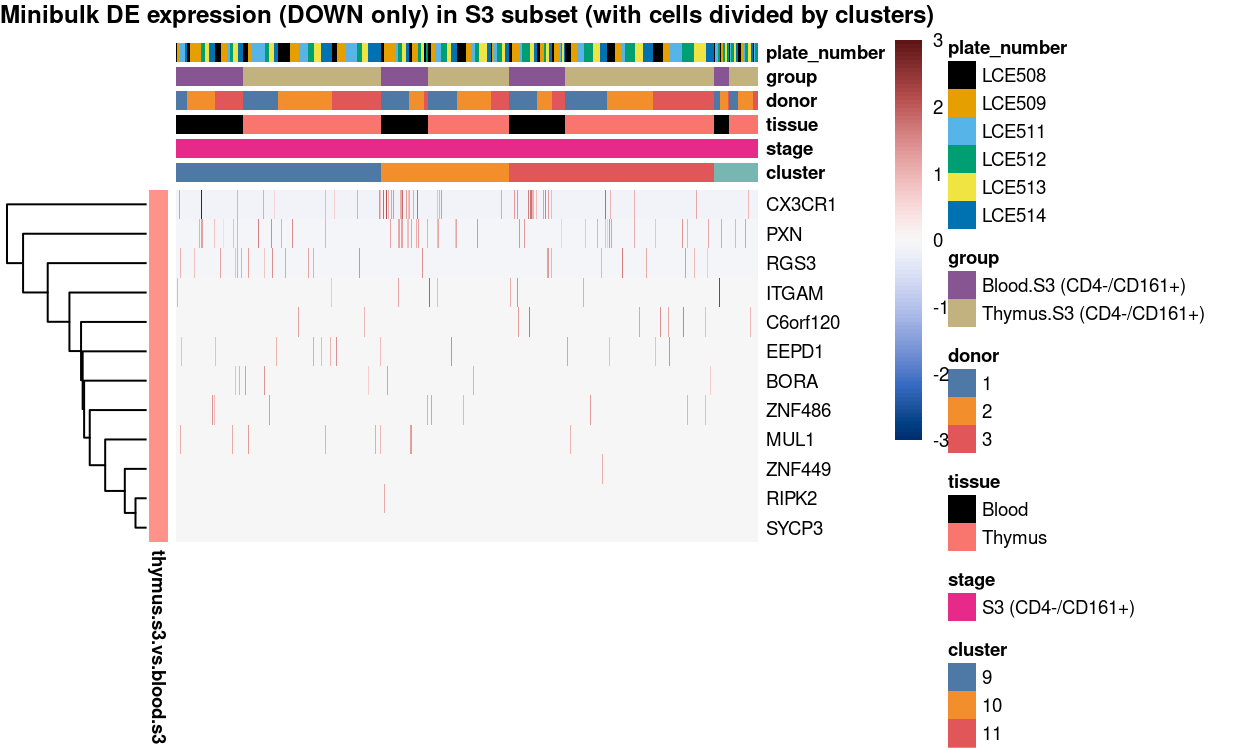 Heatmap of log-expression values in each sample for the marker genes (down-regulated) identified from the mini-bulk analysis. Cells are ordered by `cluster`. Each column is a sample, each row a gene. Colours are capped at -3 and 3 to preserve dynamic range.