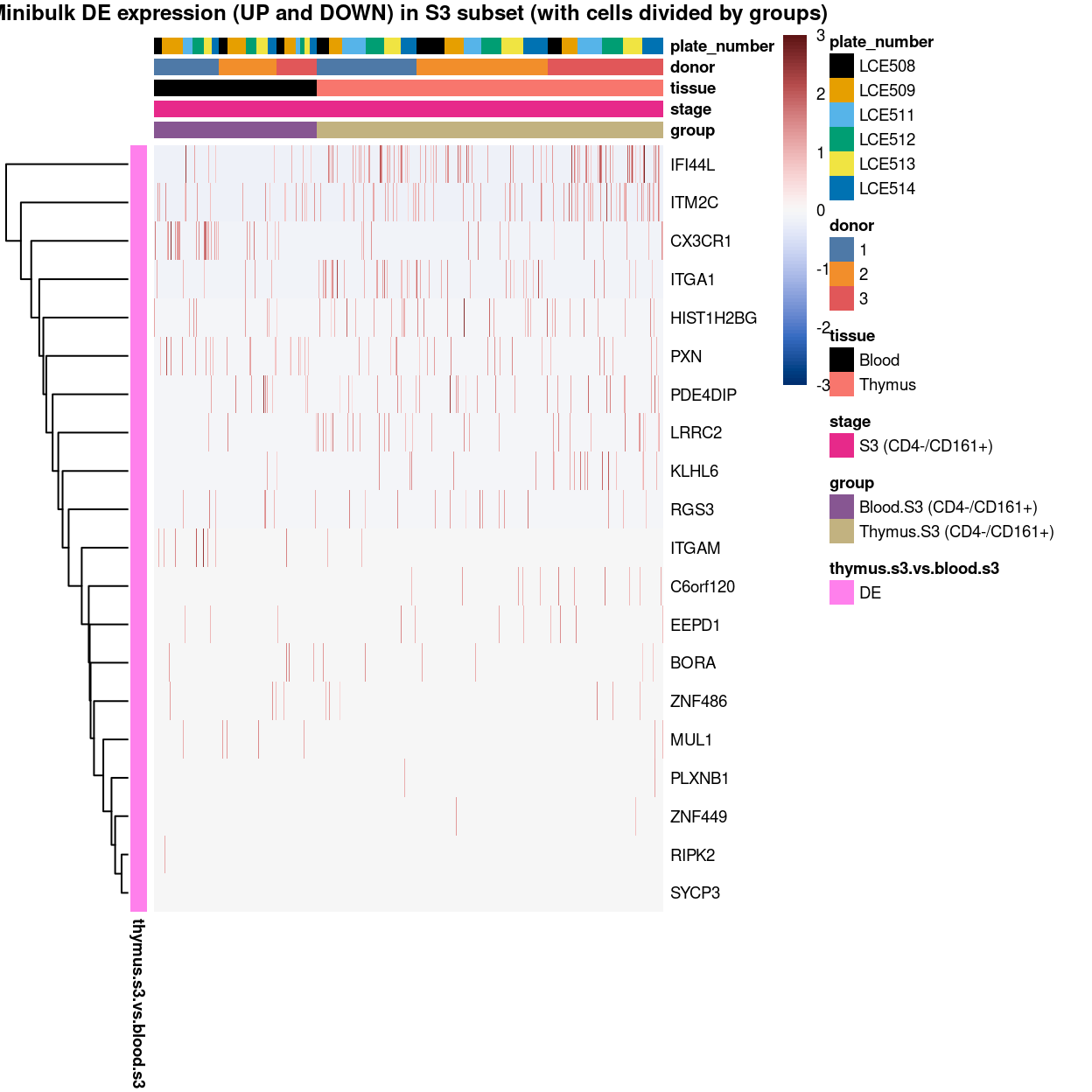 Heatmap of log-expression values in each sample for the marker genes identified from the mini-bulk analysis. Cells are ordered by `group`. Each column is a sample, each row a gene. Colours are capped at -3 and 3 to preserve dynamic range.