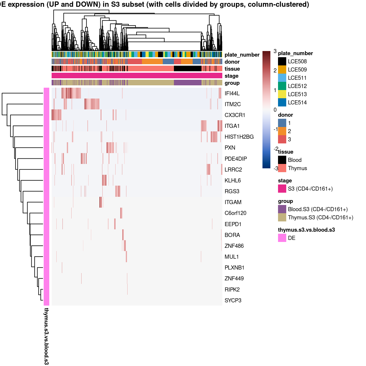 Heatmap of log-expression values in each sample for the marker genes identified from the mini-bulk analysis. Cells are ordered by `group` (column-clustered). Each column is a sample, each row a gene. Colours are capped at -3 and 3 to preserve dynamic range.