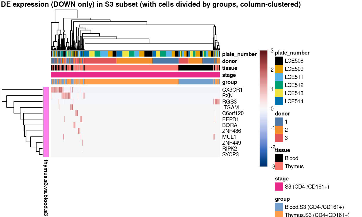 Heatmap of log-expression values in each sample for the marker genes (down-regulated) identified from the mini-bulk analysis. Cells are ordered by `grodown` (column-clustered). Each column is a sample, each row a gene. Colours are capped at -3 and 3 to preserve dynamic range.