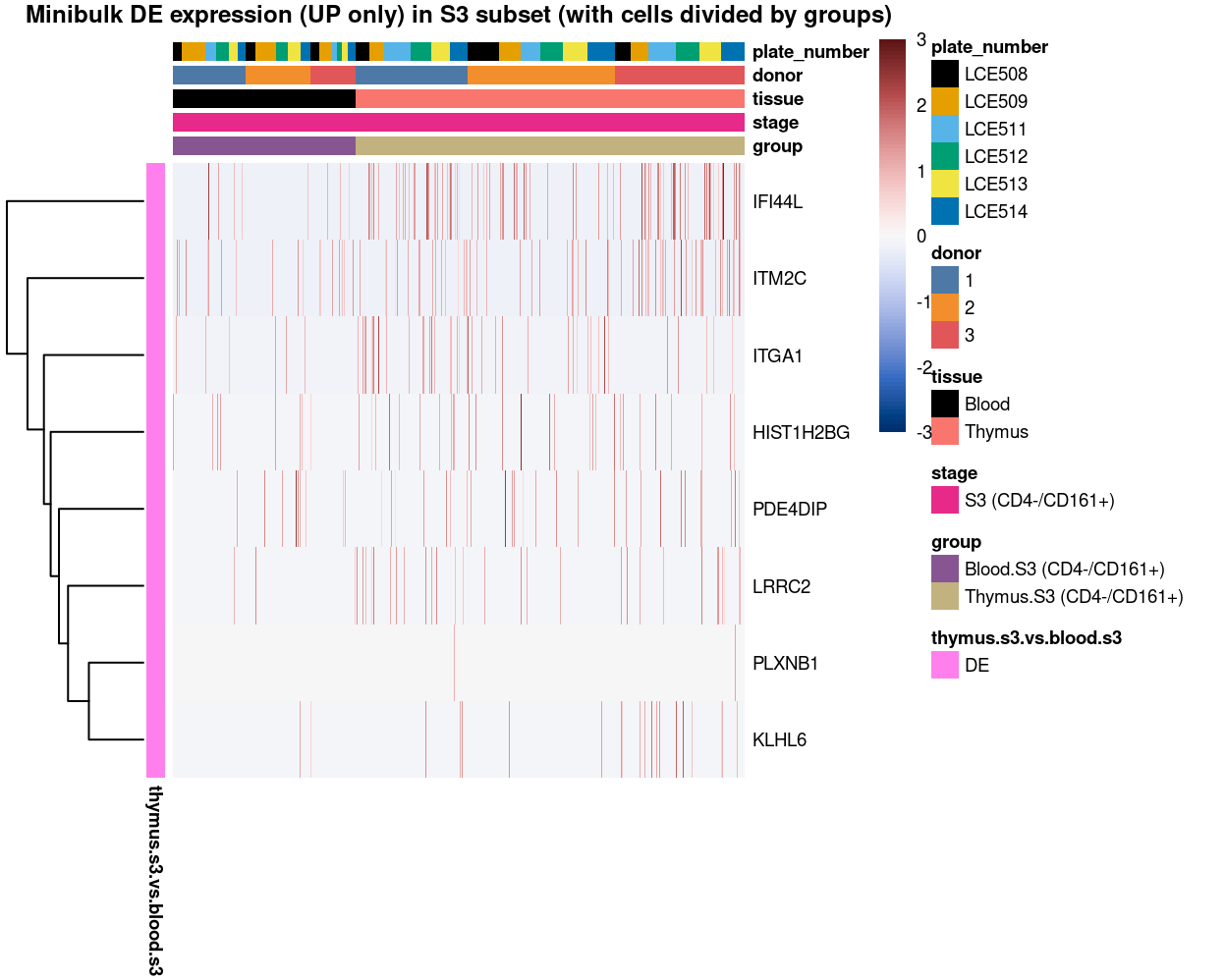 Heatmap of log-expression values in each sample for the marker genes (up-regulated) identified from the mini-bulk analysis. Cells are ordered by `group`. Each column is a sample, each row a gene. Colours are capped at -3 and 3 to preserve dynamic range.