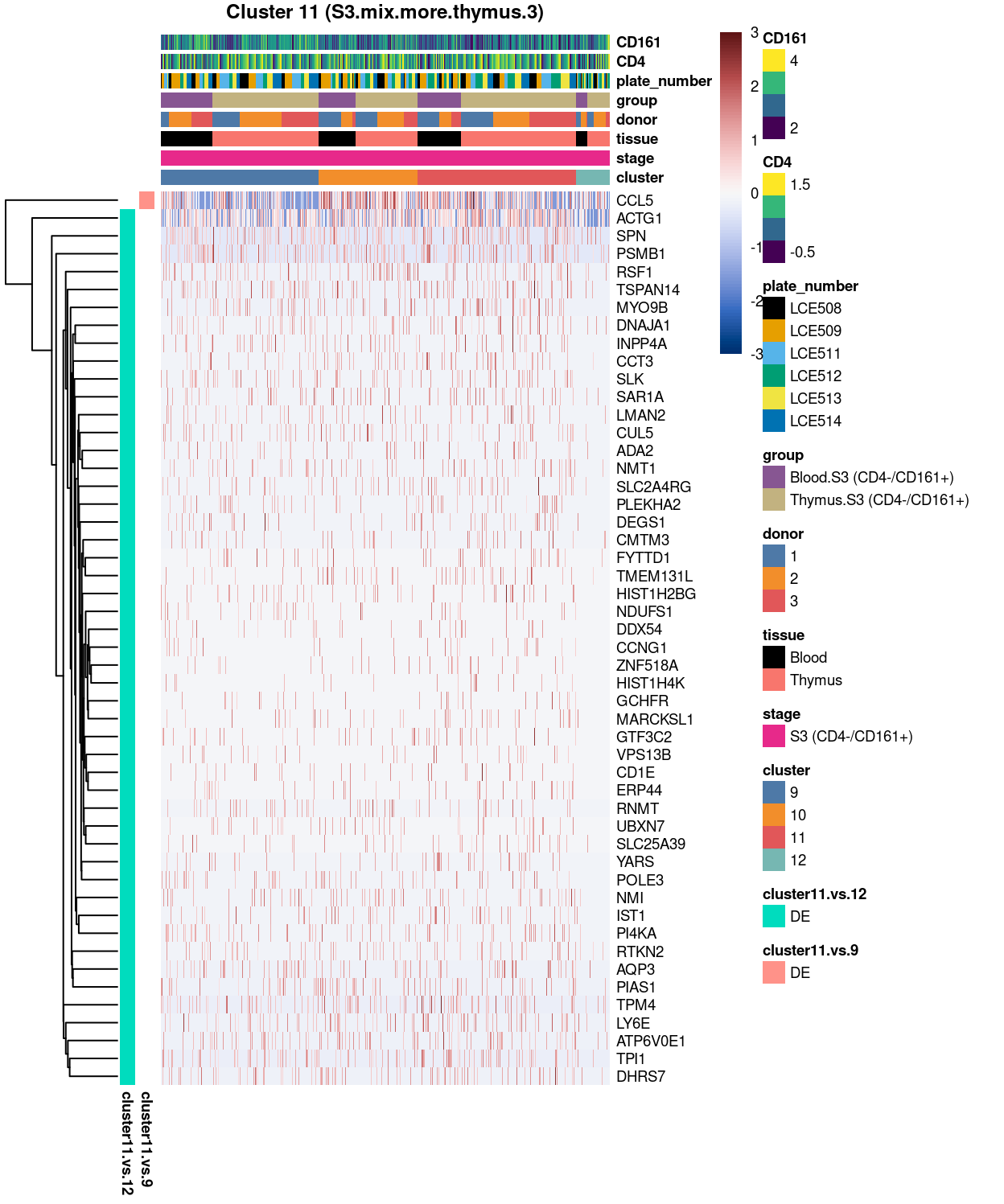 Heatmap of log-expression values in each sample for the top uniquely upregulated marker genes. Each column is a sample, each row a gene. Colours are capped at -3 and 3 to preserve dynamic range.