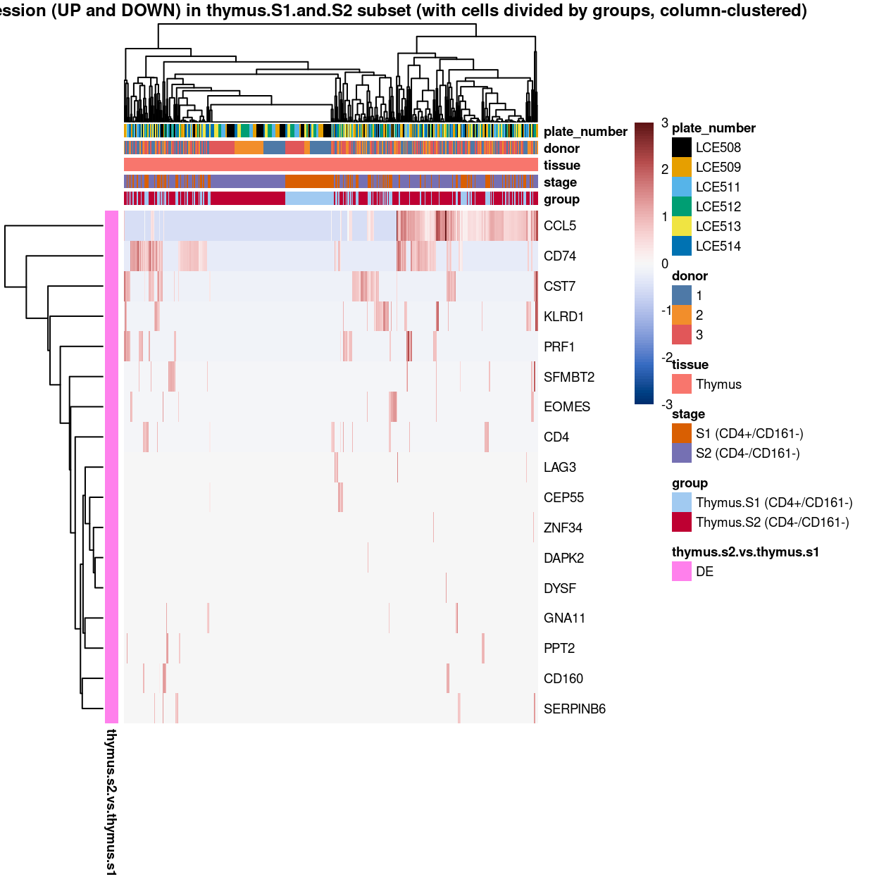 Heatmap of log-expression values in each sample for the marker genes identified from the mini-bulk analysis. Cells are ordered by `group` (column-clustered). Each column is a sample, each row a gene. Colours are capped at -3 and 3 to preserve dynamic range.