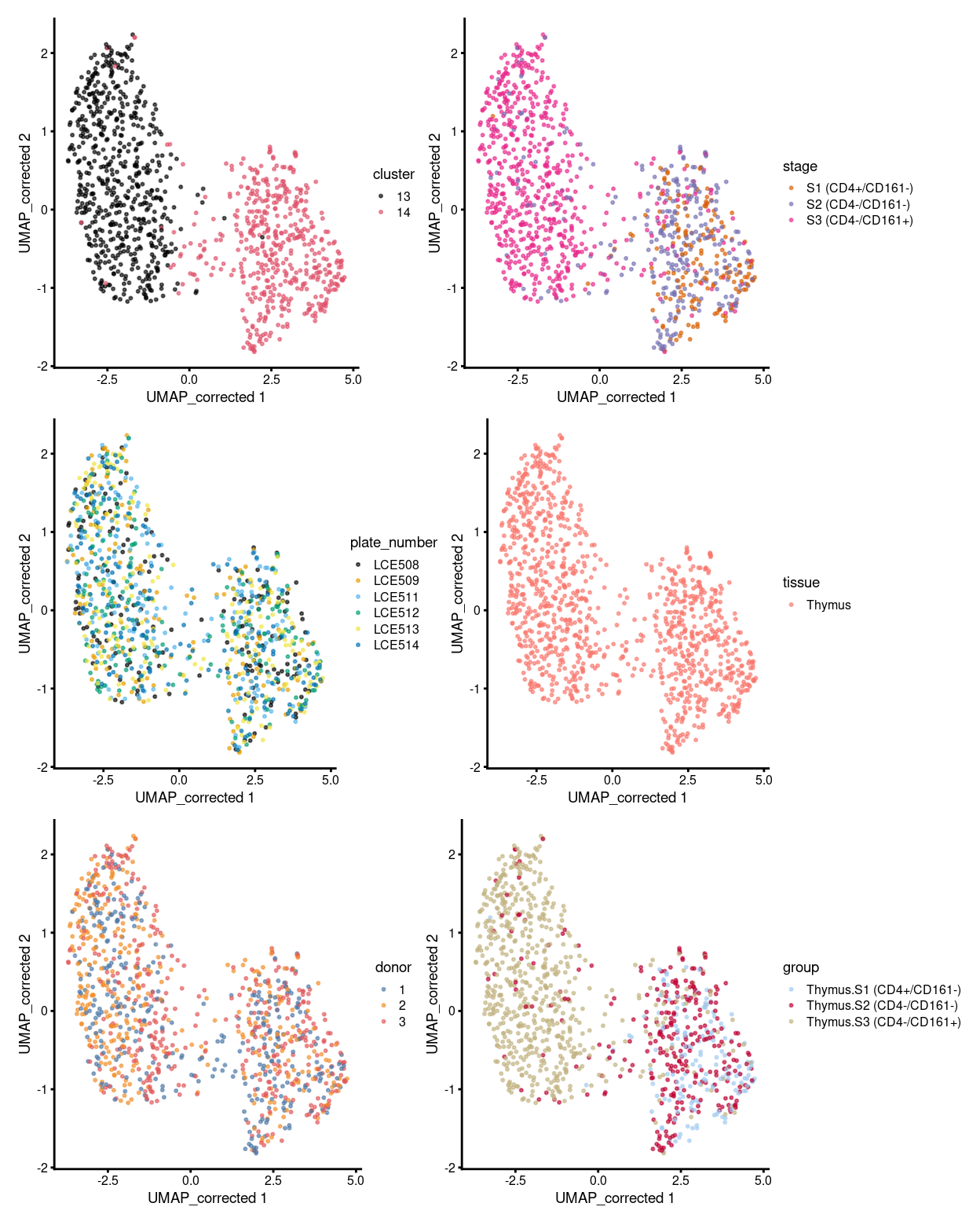 UMAP plot, where each point represents a cell and is coloured according to the legend.