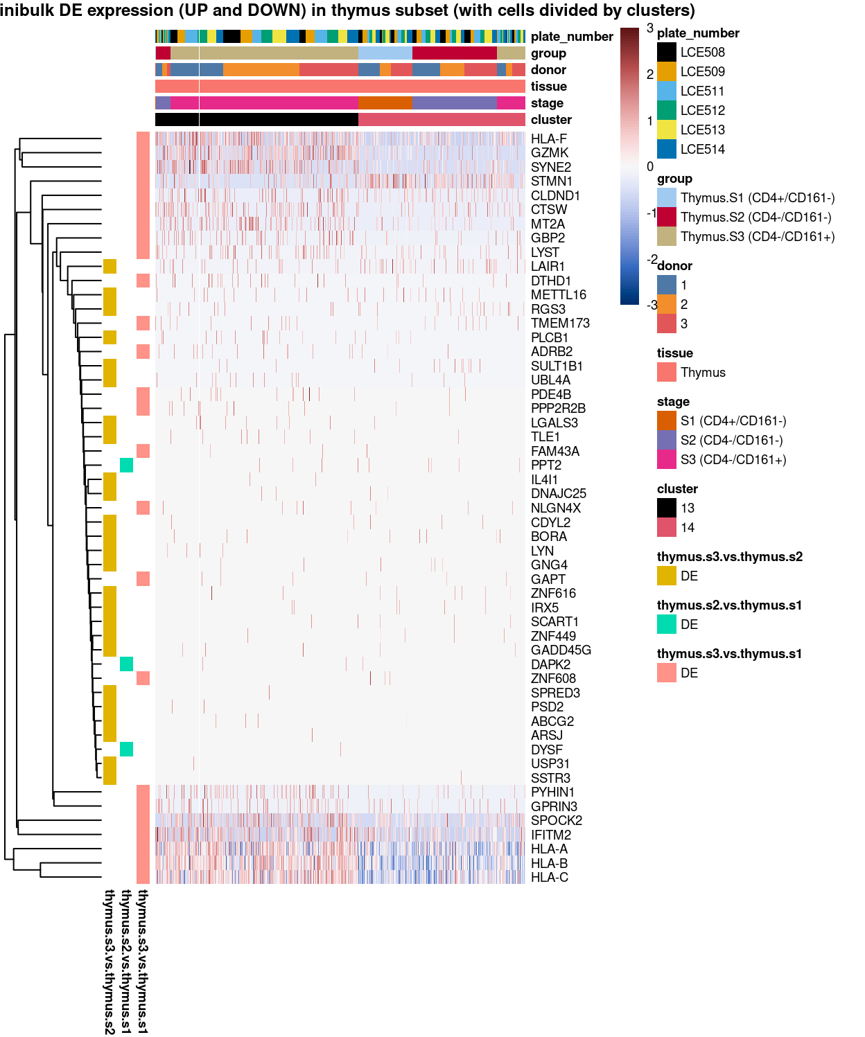 Heatmap of log-expression values in each sample for the marker genes identified from the mini-bulk analysis. Cells are ordered by `cluster`. Each column is a sample, each row a gene. Colours are capped at -3 and 3 to preserve dynamic range.