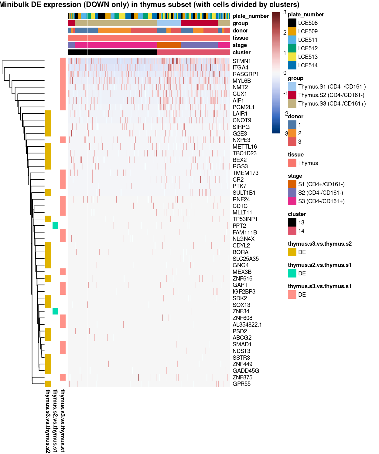 Heatmap of log-expression values in each sample for the marker genes (down-regulated) identified from the mini-bulk analysis. Cells are ordered by `cluster`. Each column is a sample, each row a gene. Colours are capped at -3 and 3 to preserve dynamic range.