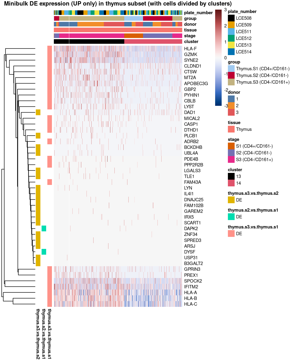 Heatmap of log-expression values in each sample for the marker genes (up-regulated) identified from the mini-bulk analysis. Cells are ordered by `cluster`. Each column is a sample, each row a gene. Colours are capped at -3 and 3 to preserve dynamic range.