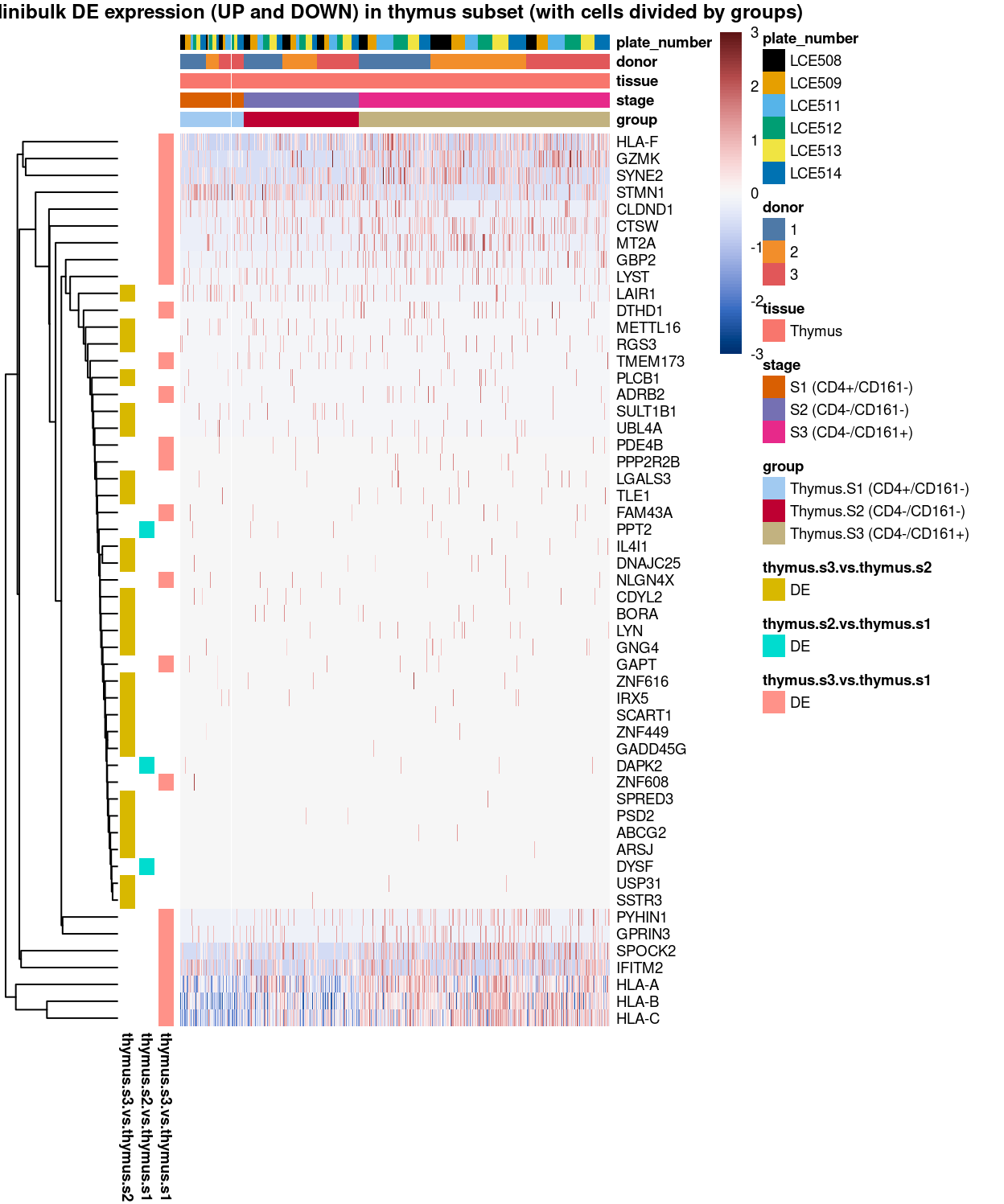 Heatmap of log-expression values in each sample for the marker genes identified from the mini-bulk analysis. Cells are ordered by `group`. Each column is a sample, each row a gene. Colours are capped at -3 and 3 to preserve dynamic range.