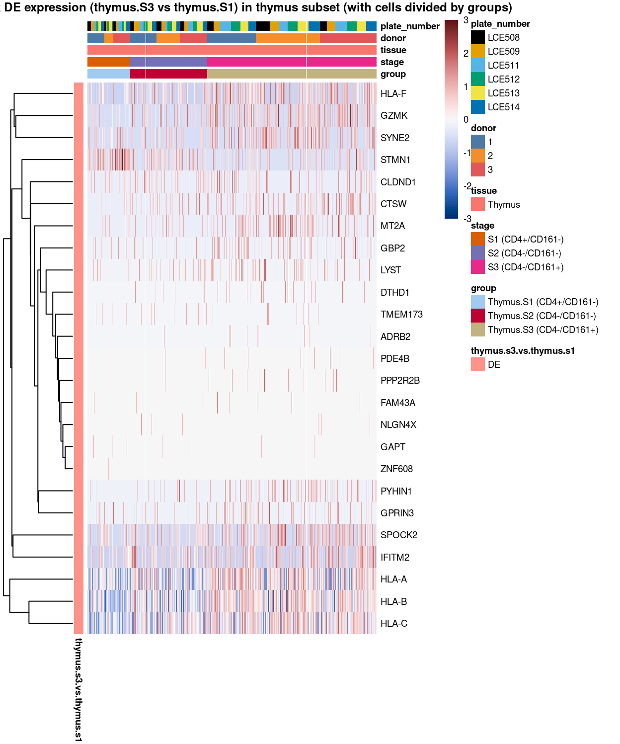 Heatmap of log-expression values in each sample for the marker genes identified from the mini-bulk analysis (thymus.s3.vs.thymus.s1). Cells are ordered by `group`. Each column is a sample, each row a gene. Colours are capped at -3 and 3 to preserve dynamic range.