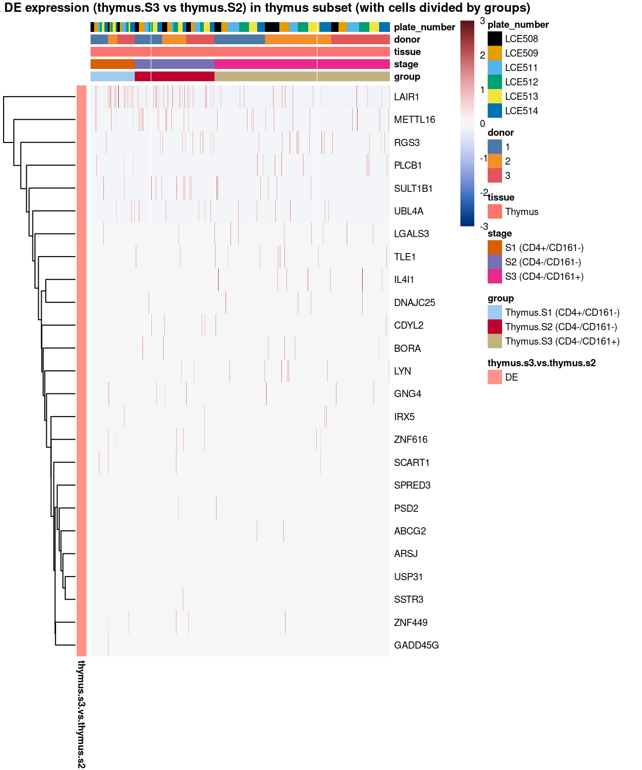 Heatmap of log-expression values in each sample for the marker genes identified from the mini-bulk analysis (thymus.s3.vs.thymus.s2). Cells are ordered by `group`. Each column is a sample, each row a gene. Colours are capped at -3 and 3 to preserve dynamic range.