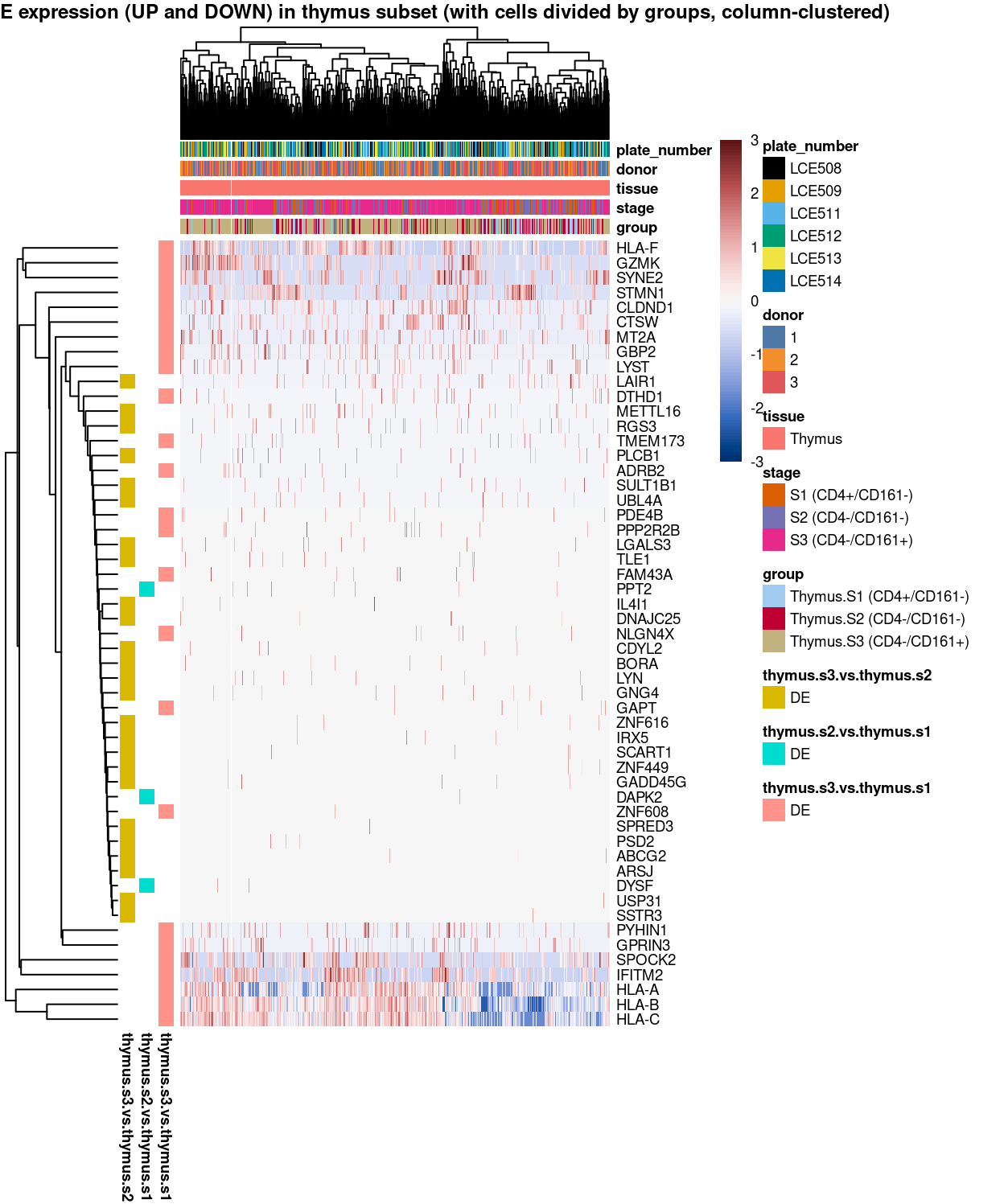 Heatmap of log-expression values in each sample for the marker genes identified from the mini-bulk analysis. Cells are ordered by `group` (column-clustered). Each column is a sample, each row a gene. Colours are capped at -3 and 3 to preserve dynamic range.