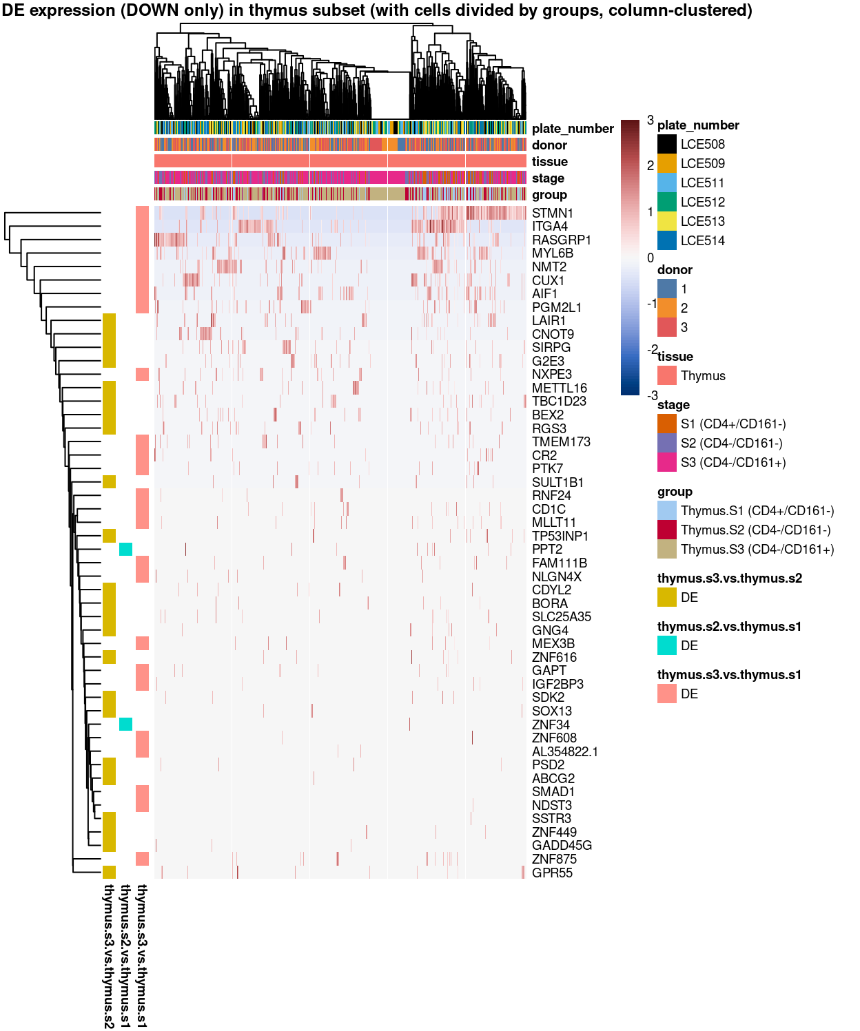 Heatmap of log-expression values in each sample for the marker genes (down-regulated) identified from the mini-bulk analysis. Cells are ordered by `group` (column-clustered). Each column is a sample, each row a gene. Colours are capped at -3 and 3 to preserve dynamic range.