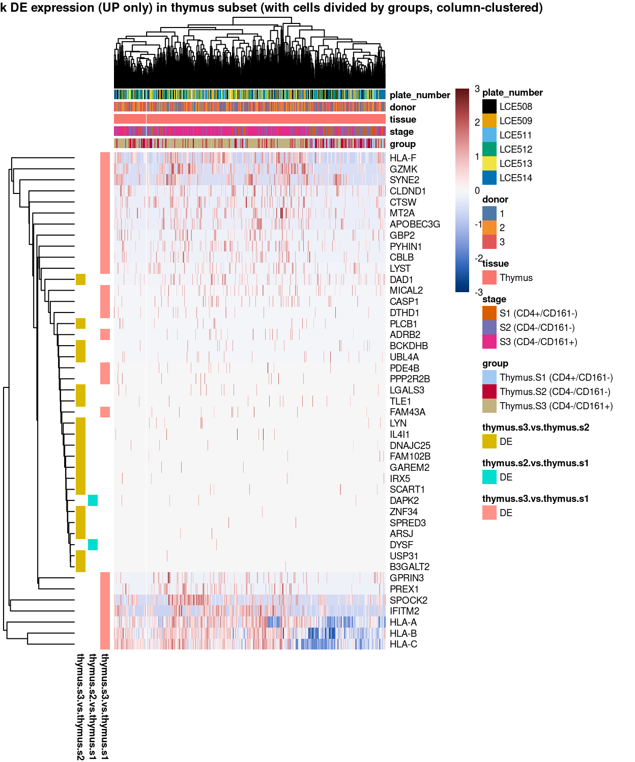 Heatmap of log-expression values in each sample for the marker genes (up-regulated) identified from the mini-bulk analysis. Cells are ordered by `group` (column-clustered). Each column is a sample, each row a gene. Colours are capped at -3 and 3 to preserve dynamic range.