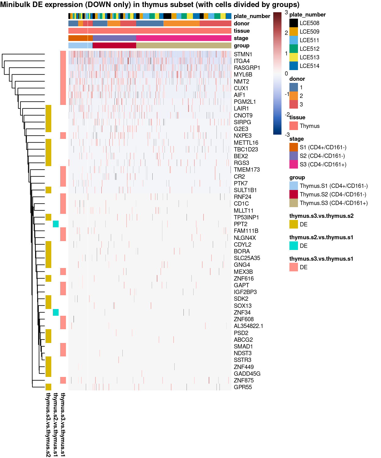 Heatmap of log-expression values in each sample for the marker genes (down-regulated) identified from the mini-bulk analysis. Cells are ordered by `group`. Each column is a sample, each row a gene. Colours are capped at -3 and 3 to preserve dynamic range.