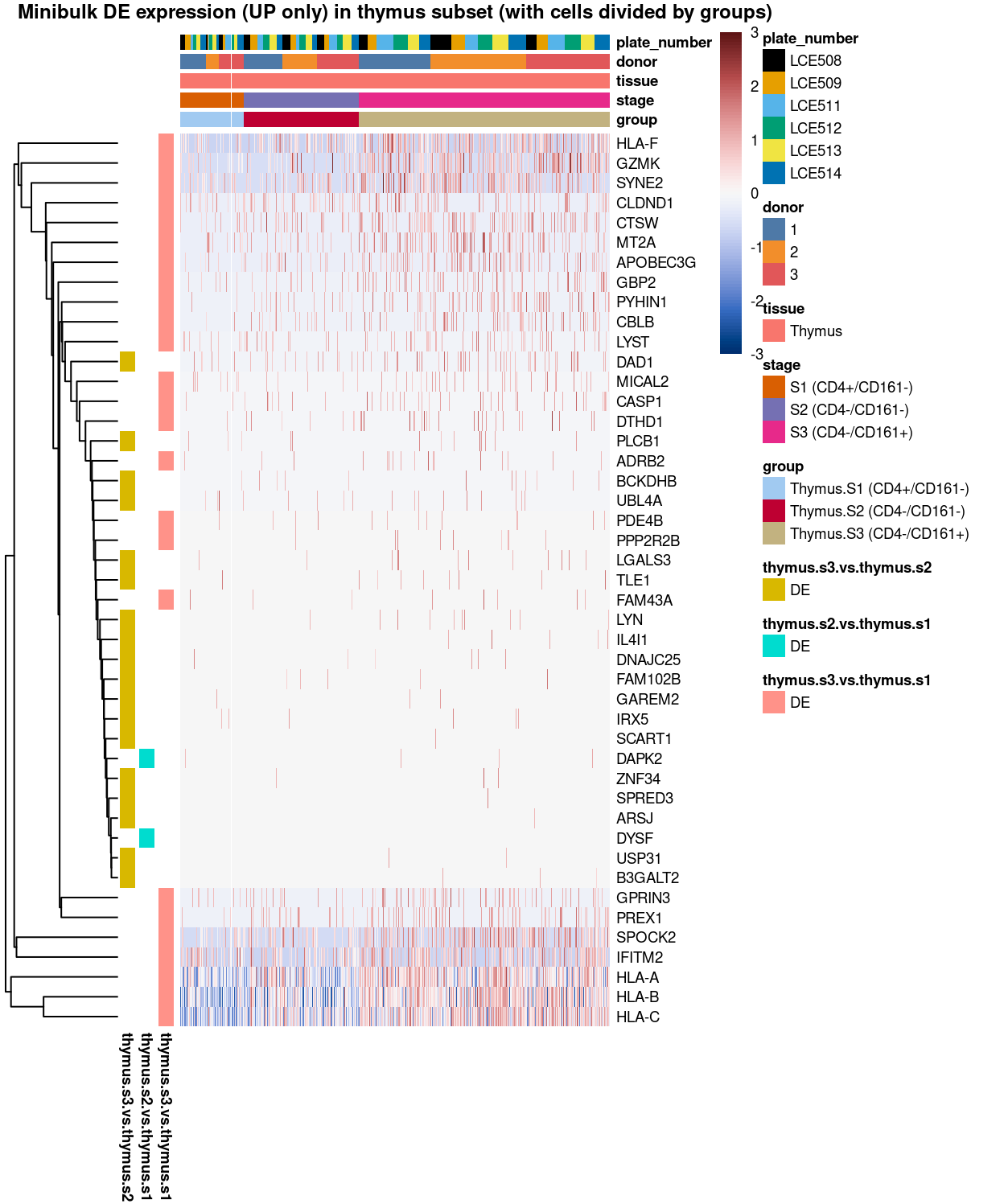 Heatmap of log-expression values in each sample for the marker genes (up-regulated) identified from the mini-bulk analysis. Cells are ordered by `group`. Each column is a sample, each row a gene. Colours are capped at -3 and 3 to preserve dynamic range.