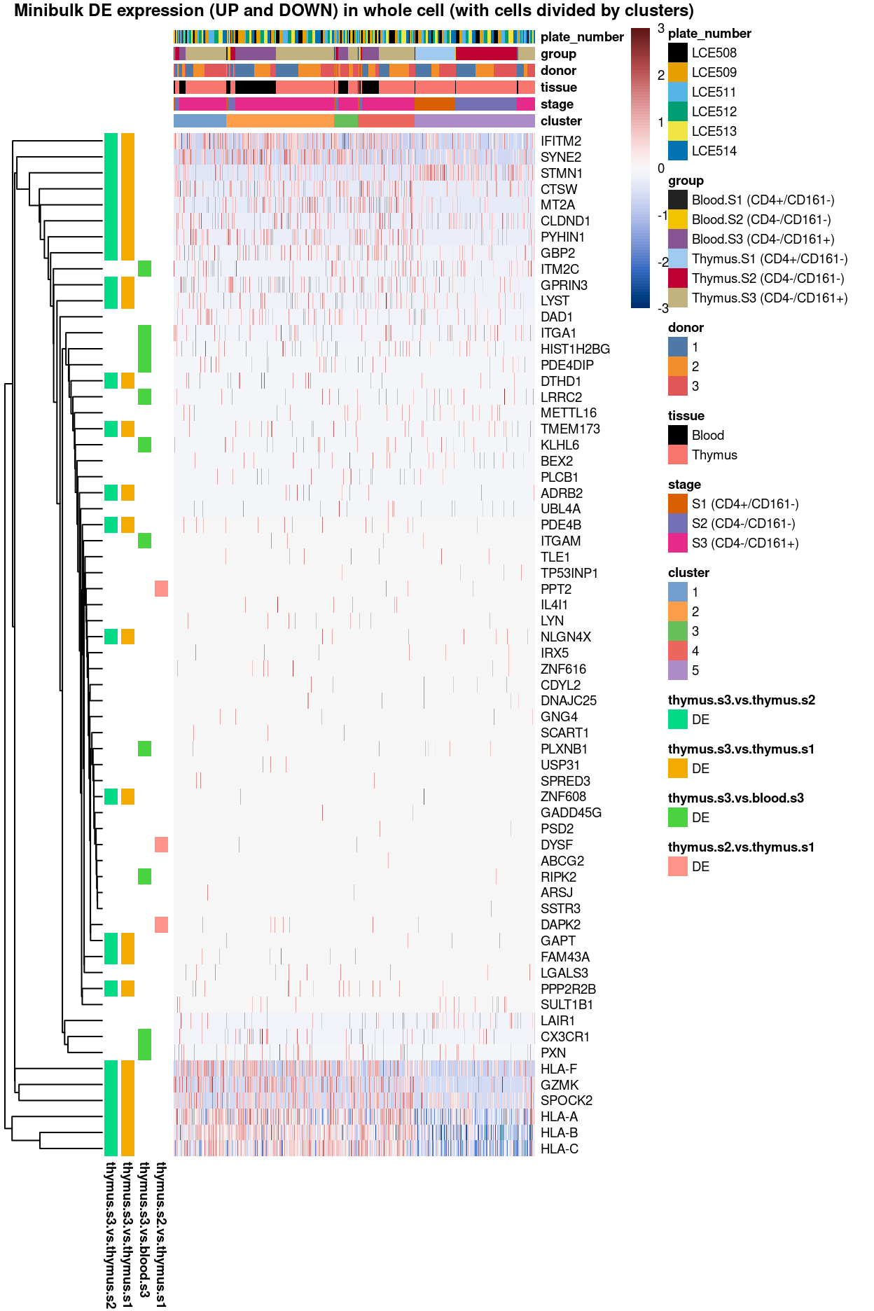 Heatmap of log-expression values in each sample for the marker genes identified from the mini-bulk analysis. Cells are ordered by `cluster`. Each column is a sample, each row a gene. Colours are capped at -3 and 3 to preserve dynamic range.