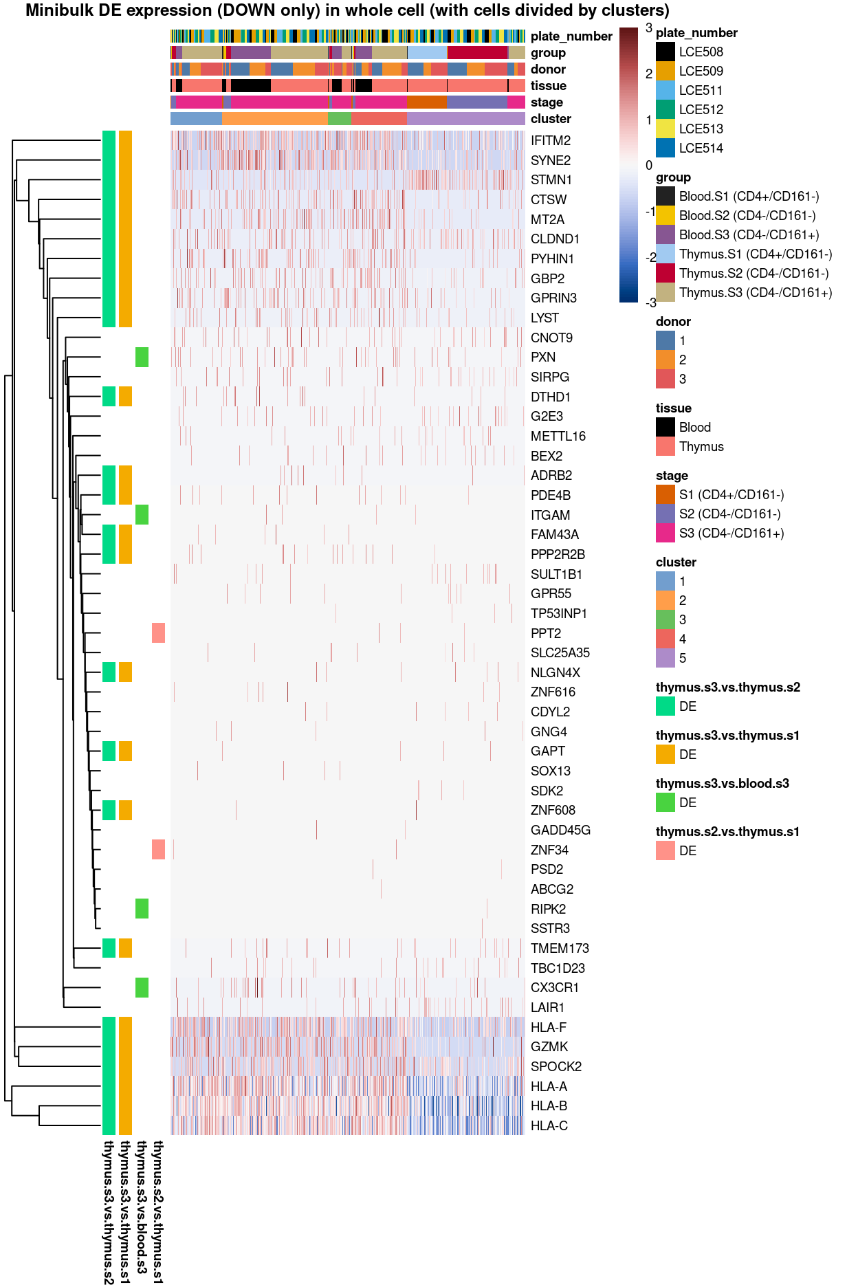 Heatmap of log-expression values in each sample for the marker genes (down-regulated) identified from the mini-bulk analysis. Cells are ordered by `cluster`. Each column is a sample, each row a gene. Colours are capped at -3 and 3 to preserve dynamic range.