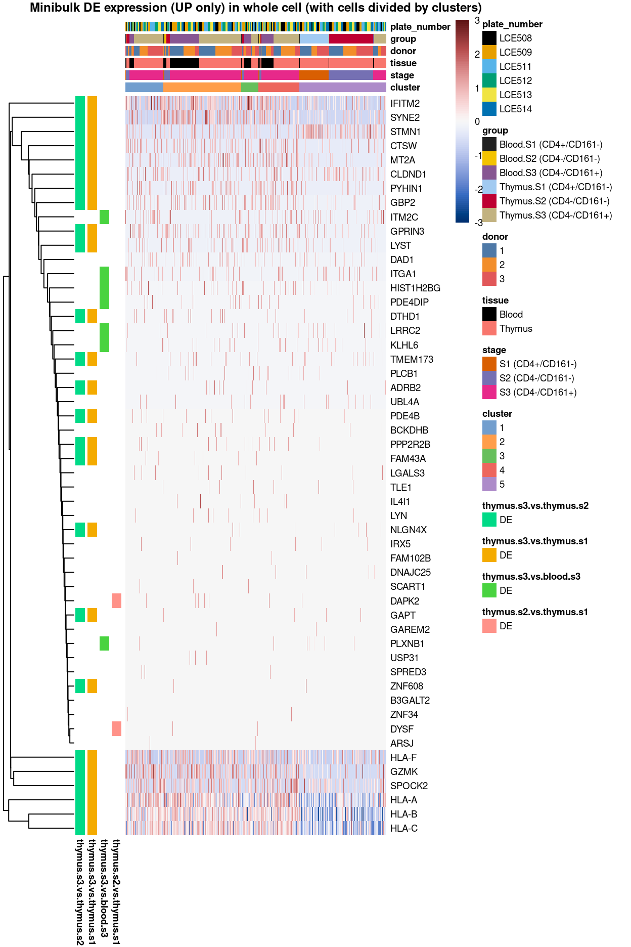 Heatmap of log-expression values in each sample for the marker genes (up-regulated) identified from the mini-bulk analysis. Cells are ordered by `cluster`. Each column is a sample, each row a gene. Colours are capped at -3 and 3 to preserve dynamic range.