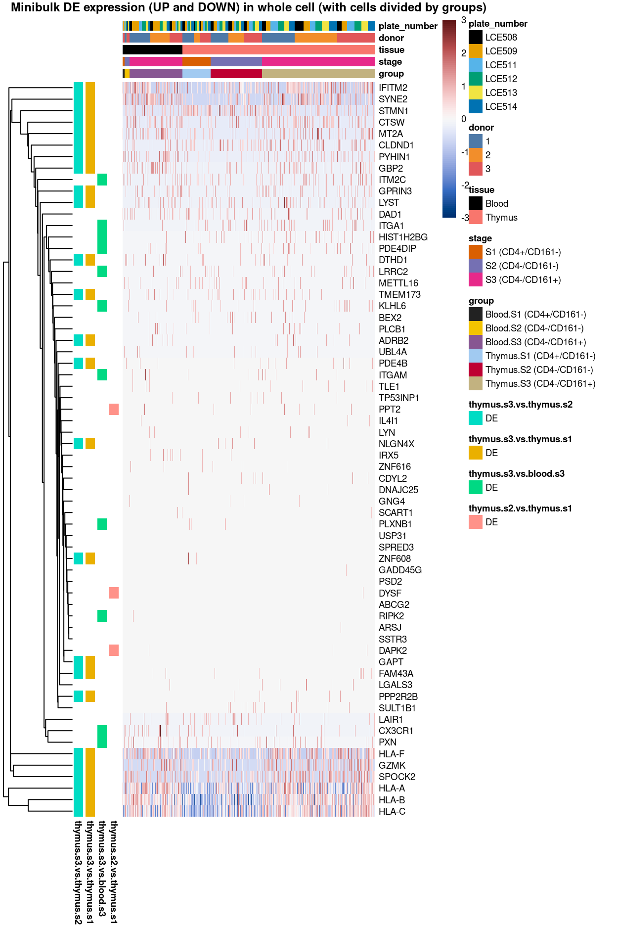 Heatmap of log-expression values in each sample for the marker genes identified from the mini-bulk analysis. Cells are ordered by `group`. Each column is a sample, each row a gene. Colours are capped at -3 and 3 to preserve dynamic range.