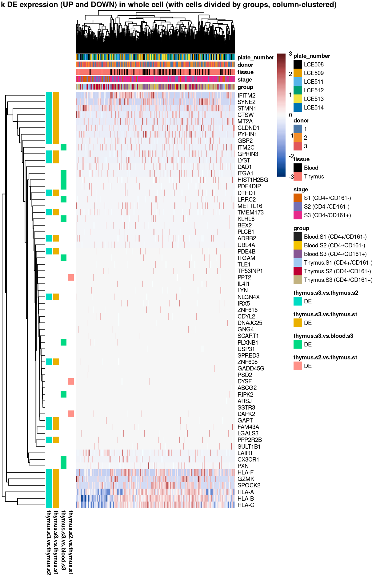 Heatmap of log-expression values in each sample for the marker genes identified from the mini-bulk analysis. Cells are ordered by `group` (column-clustered). Each column is a sample, each row a gene. Colours are capped at -3 and 3 to preserve dynamic range.