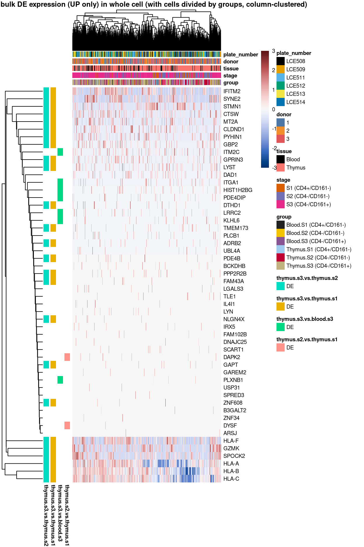 Heatmap of log-expression values in each sample for the marker genes (up-regulated) identified from the mini-bulk analysis. Cells are ordered by `group` (column-clustered). Each column is a sample, each row a gene. Colours are capped at -3 and 3 to preserve dynamic range.