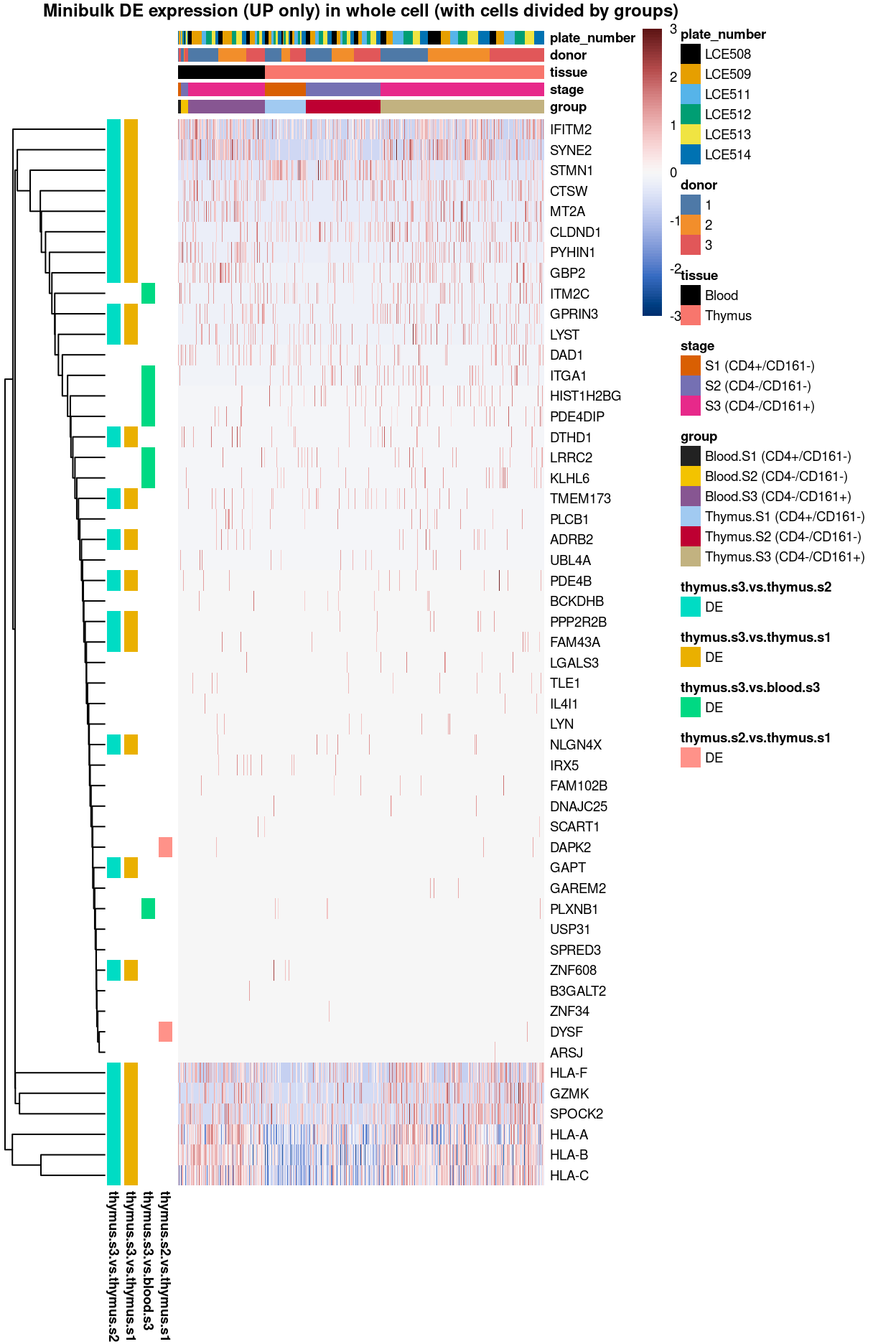 Heatmap of log-expression values in each sample for the marker genes (up-regulated) identified from the mini-bulk analysis. Cells are ordered by `group`. Each column is a sample, each row a gene. Colours are capped at -3 and 3 to preserve dynamic range.