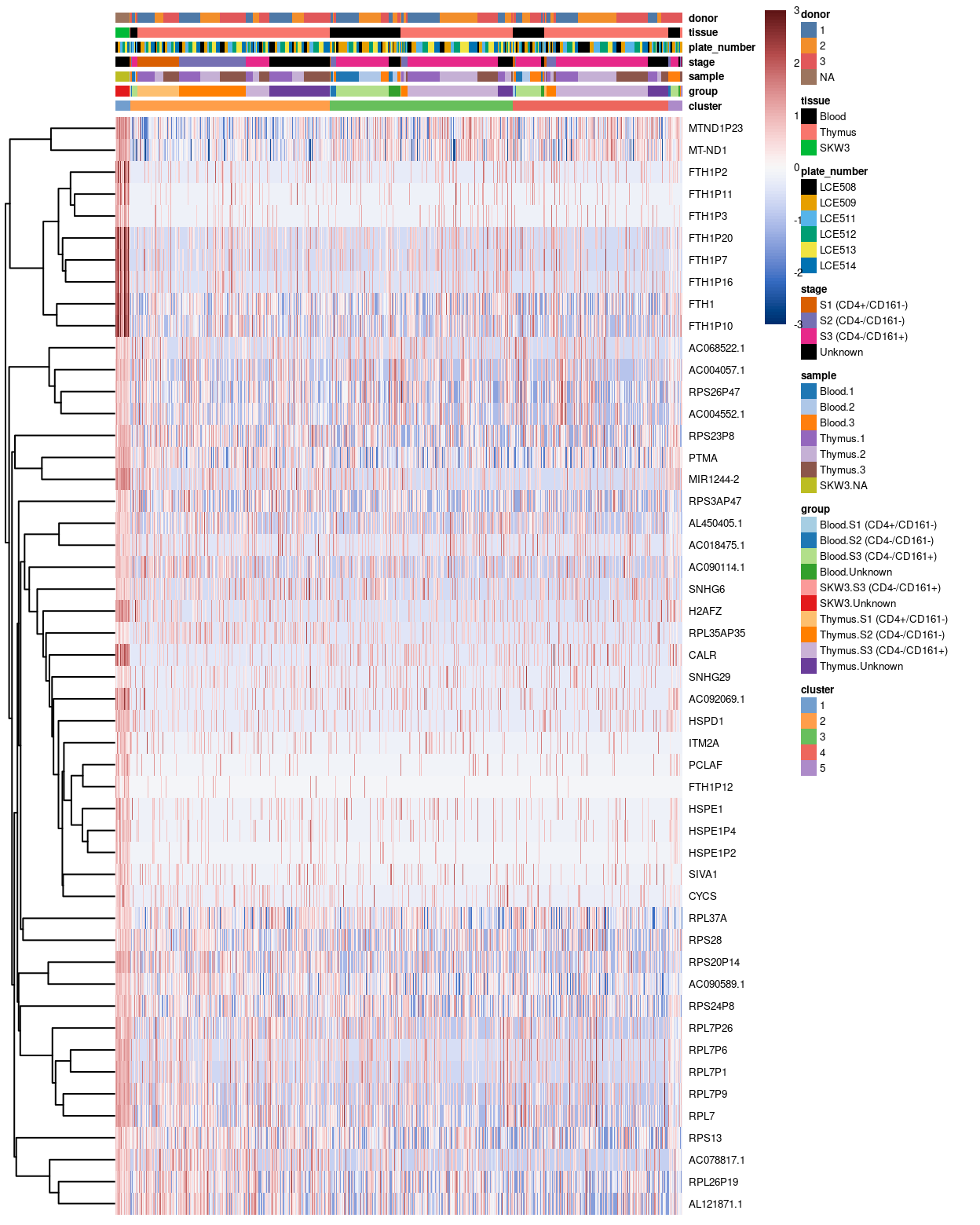 Heatmap of log-expression values in our dataset at the cell-level for cluster-specific marker with FDR <0.05. Each column is a cell, each row a gene. For legibility