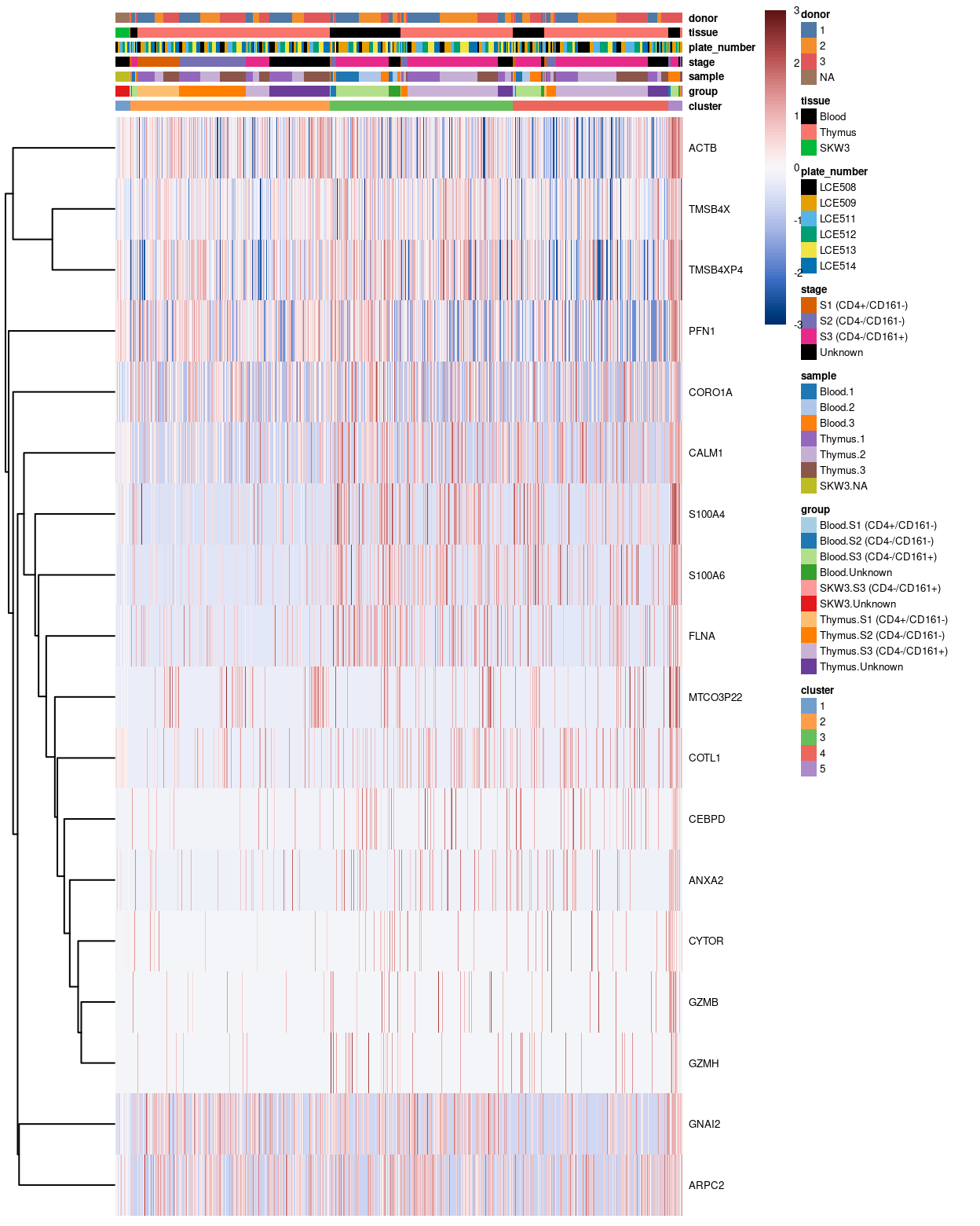 Heatmap of log-expression values in our dataset at the cell-level for cluster-specific marker with FDR <0.05. Each column is a cell, each row a gene. For legibility