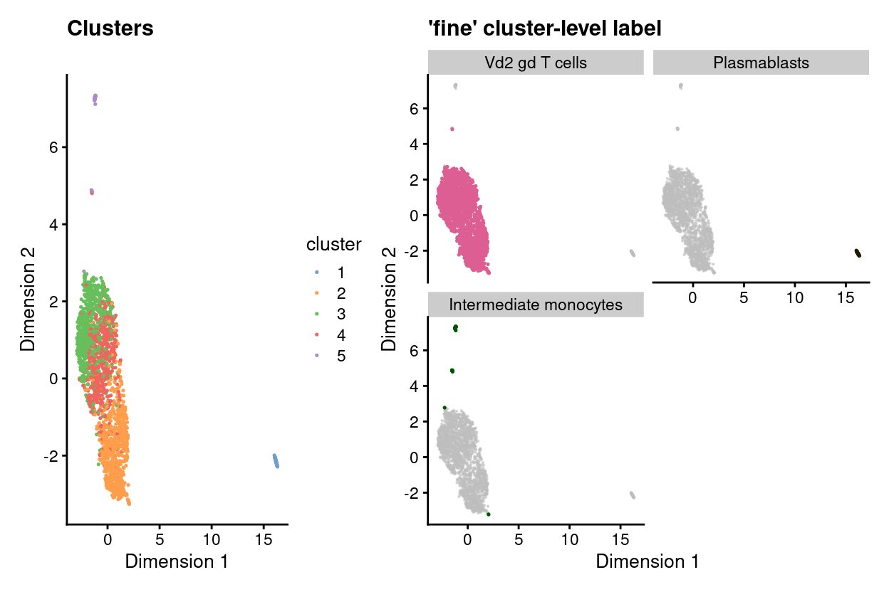 UMAP plot highlighting clusters (left) and 'fine' cluster-level labels (right) where each panel highlights droplets from a particular label. Labels with < 1% frequency are grouped together as `other`.