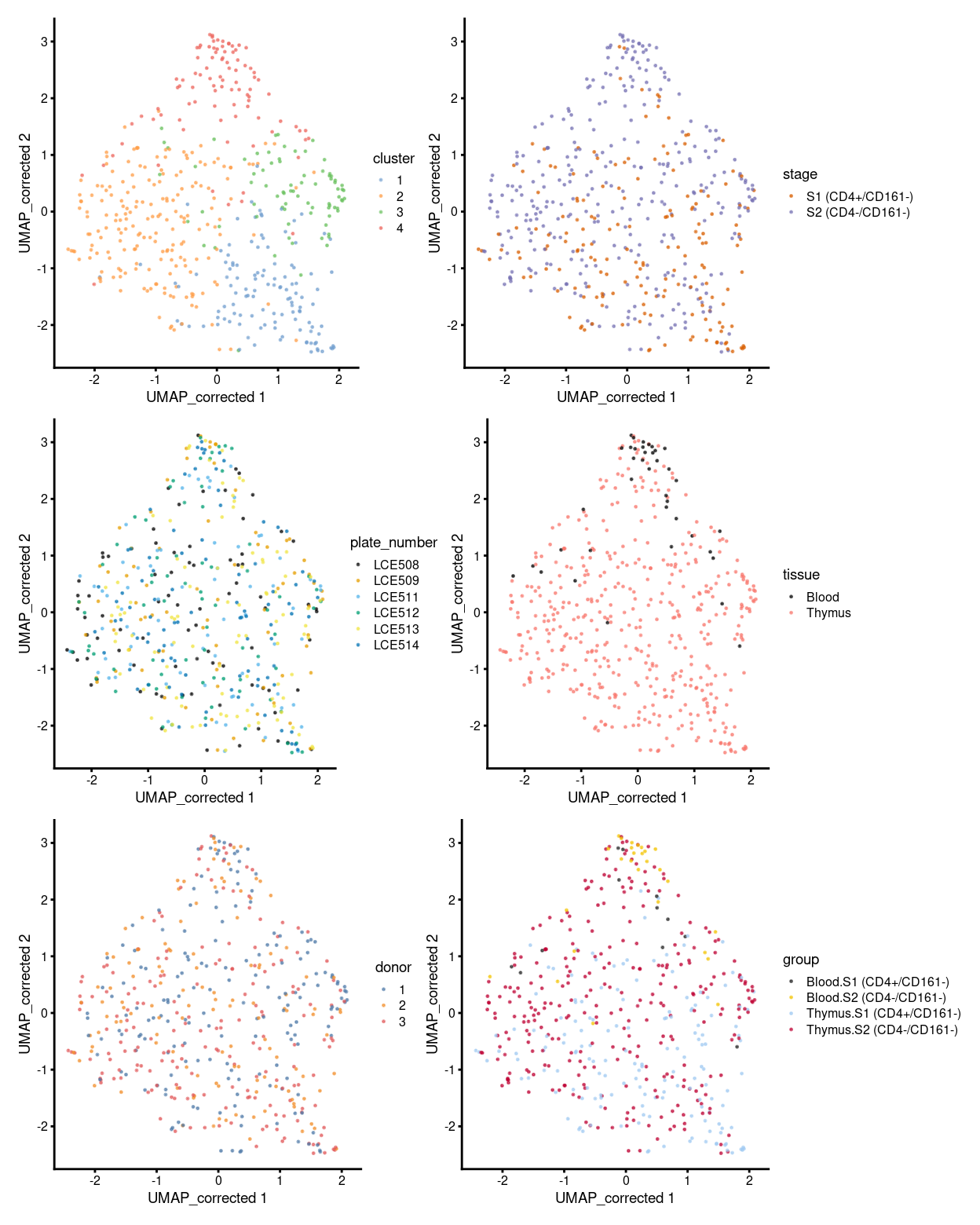 UMAP plot, where each point represents a cell and is coloured according to the legend.