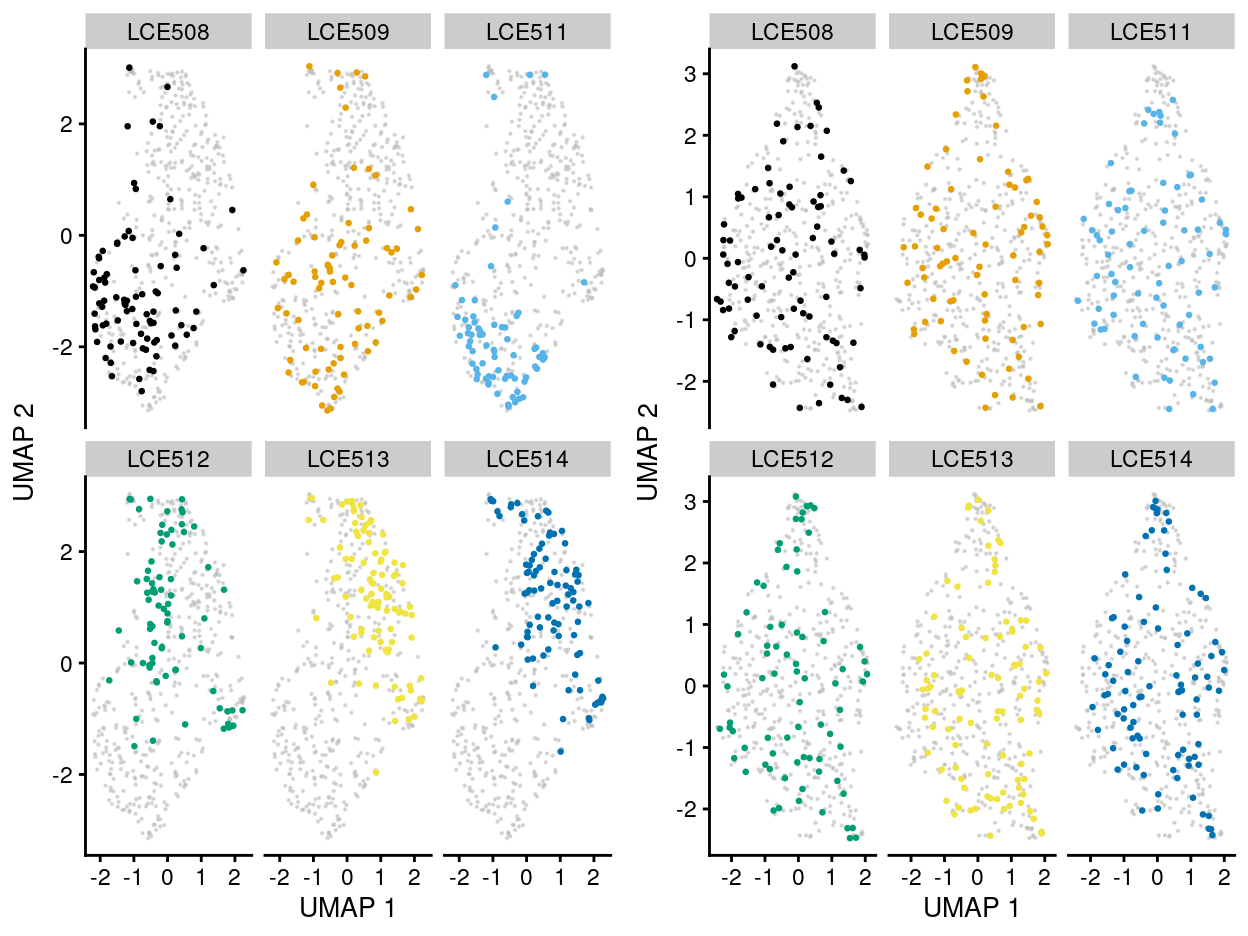 UMAP plot of the dataset. Each point represents a cell and each panel highlights cells from a particular `plate_number` when data is unmerged (left) and merged by manual merge 2 (right).