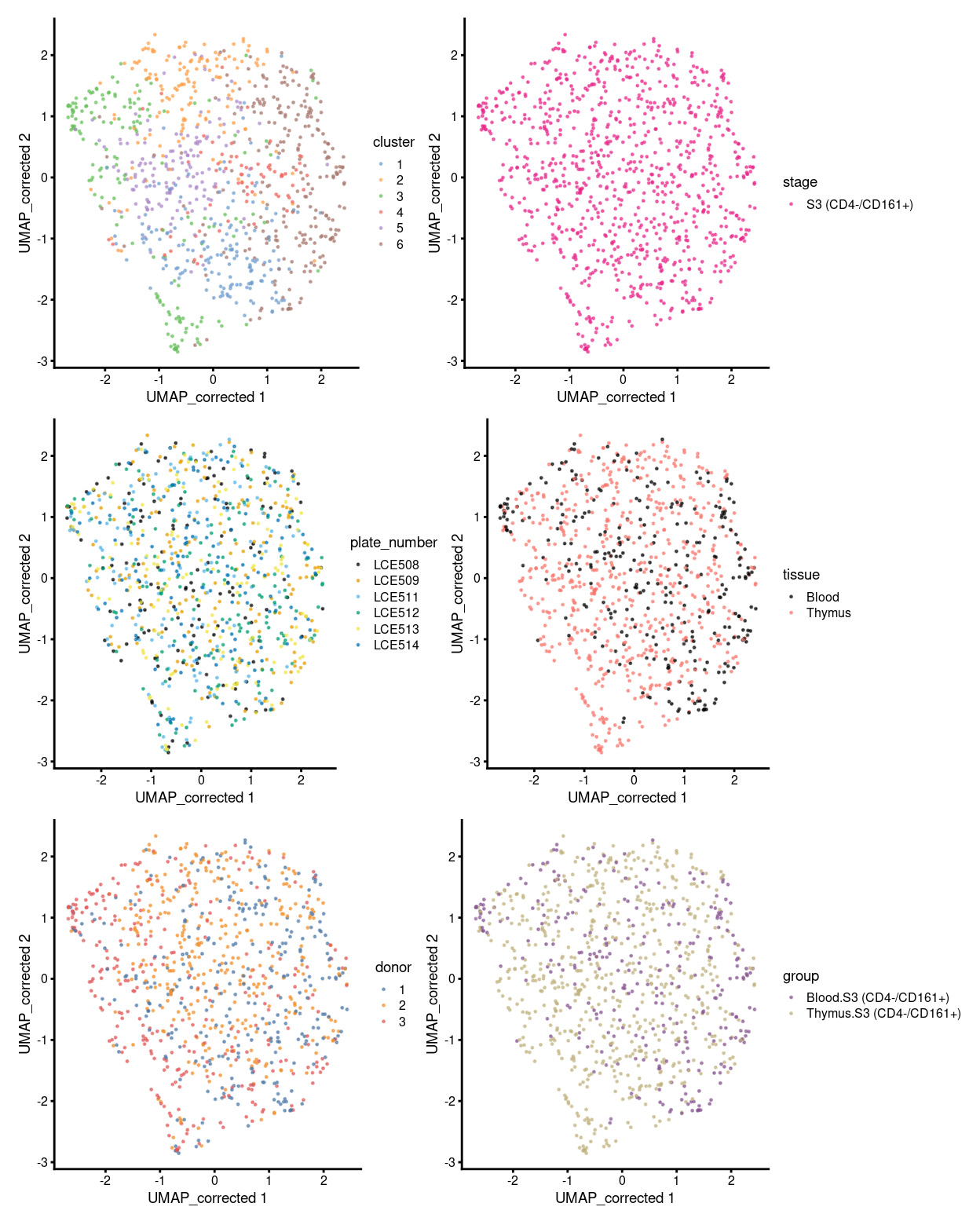 UMAP plot, where each point represents a cell and is coloured according to the legend.